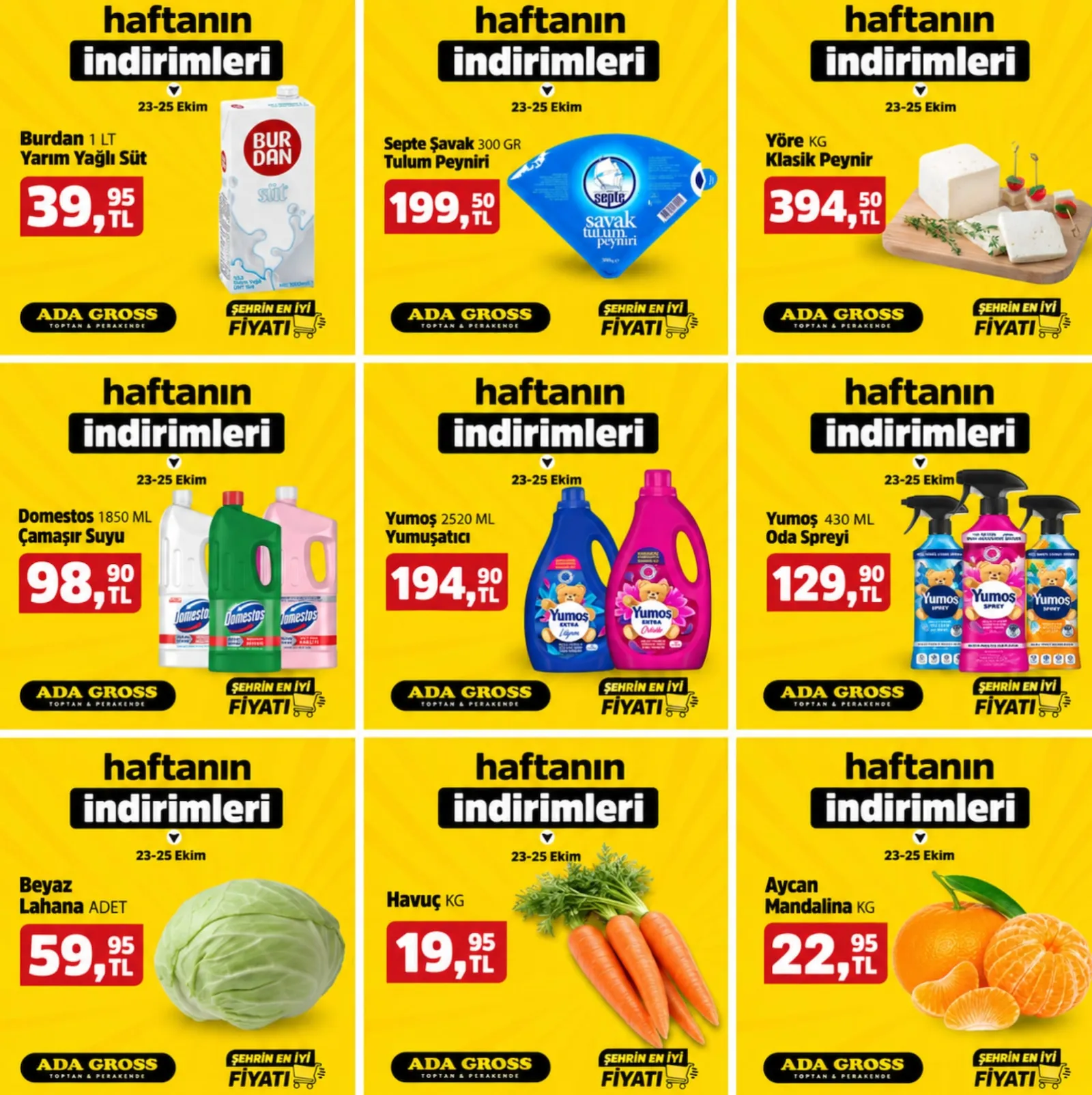 Ada Gross broşürü sayfa 1