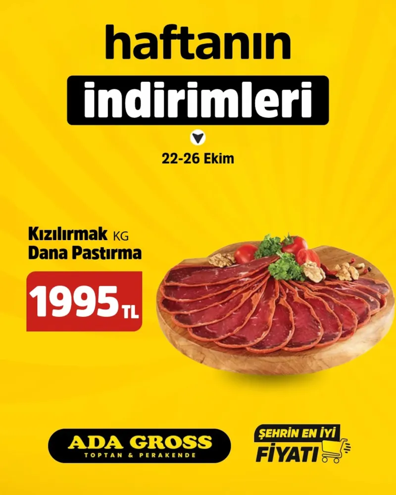 Ada Gross broşürü