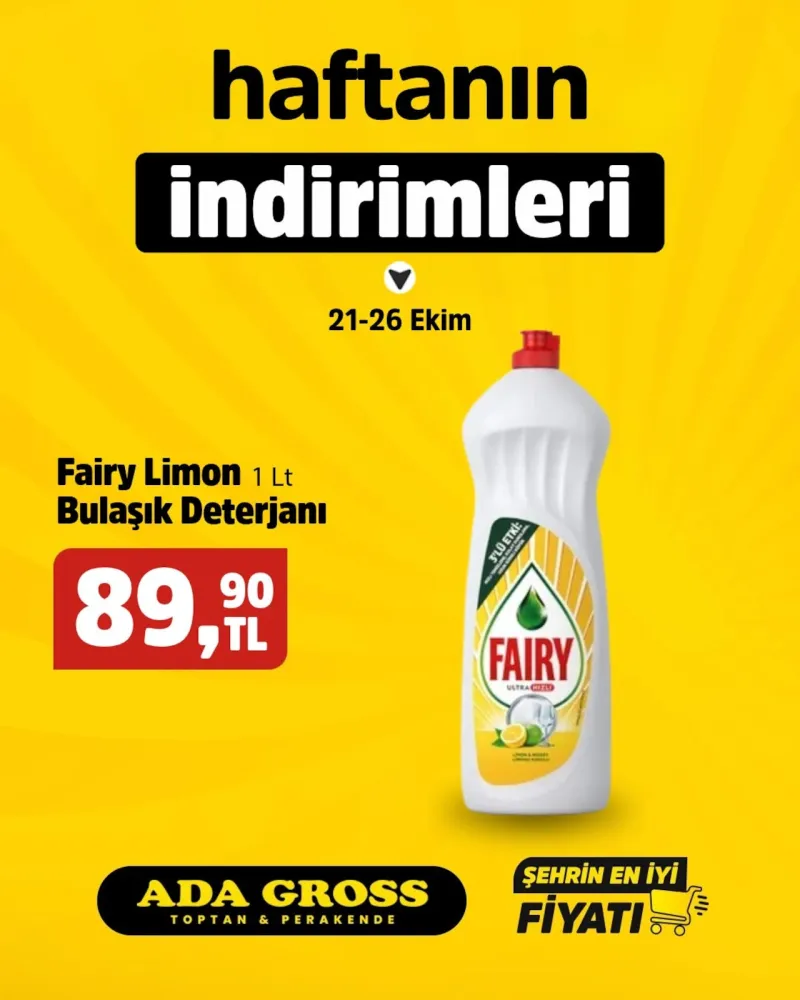 Ada Gross broşürü