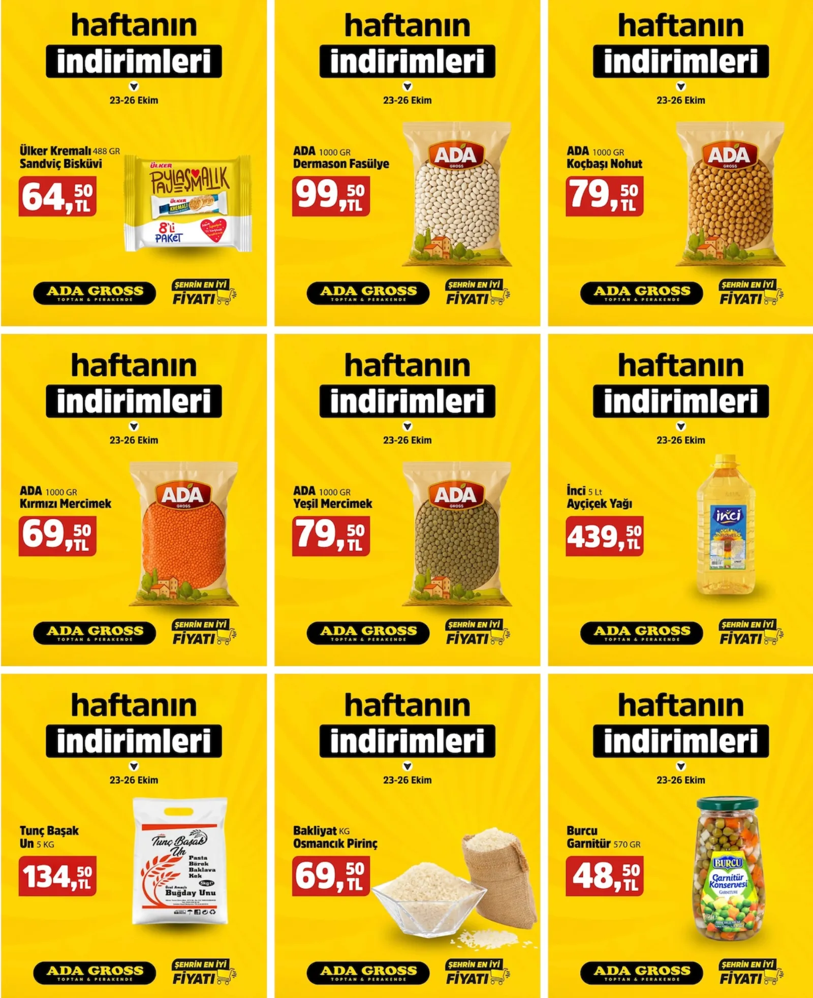 Ada Gross broşürü sayfa 2