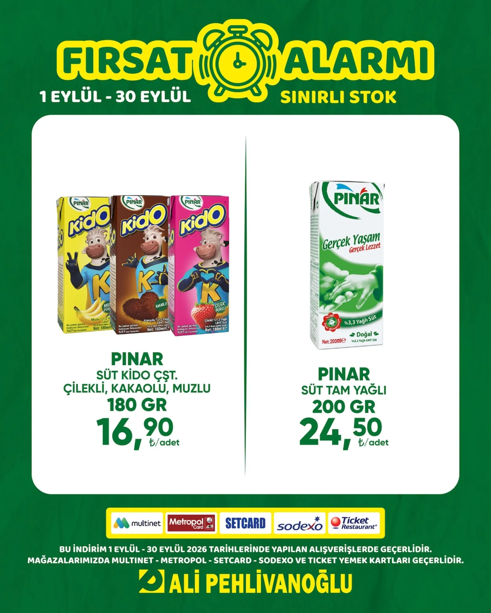 Ali Pehlivanoğlu broşürü