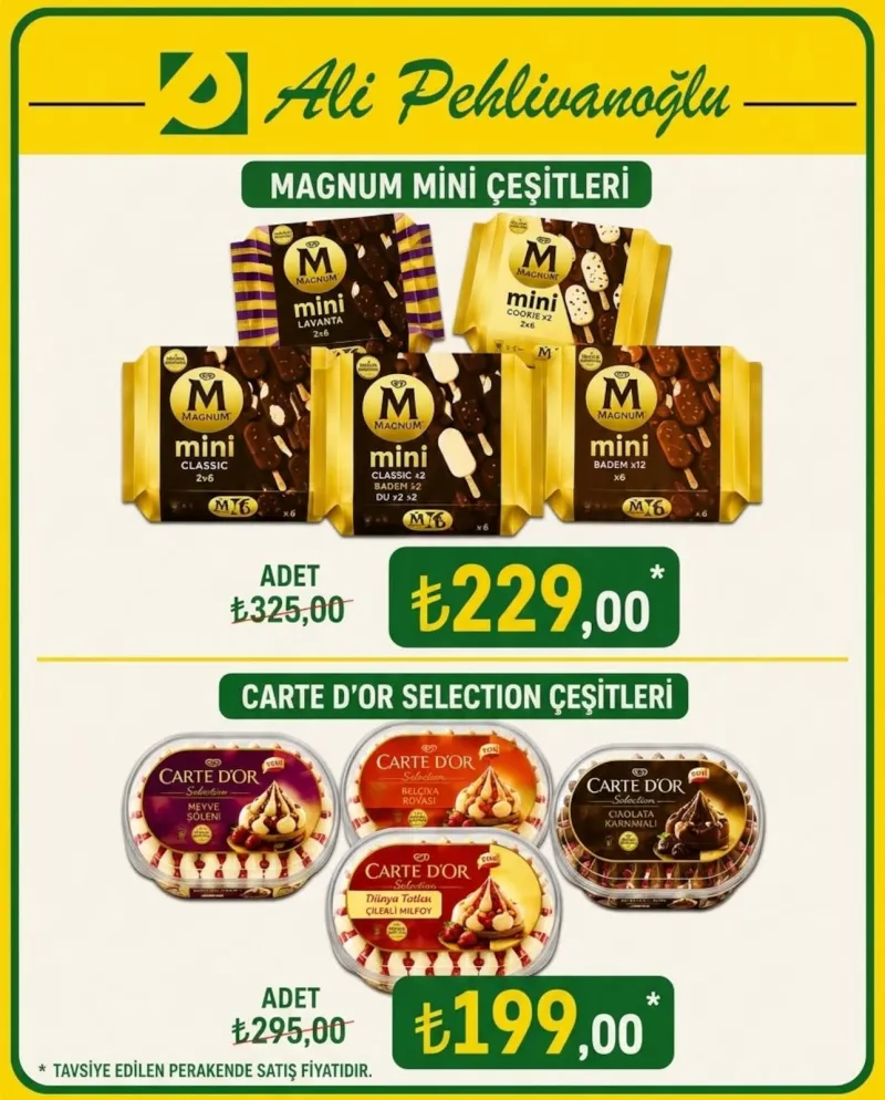 Ali Pehlivanoğlu broşürü sayfa 1