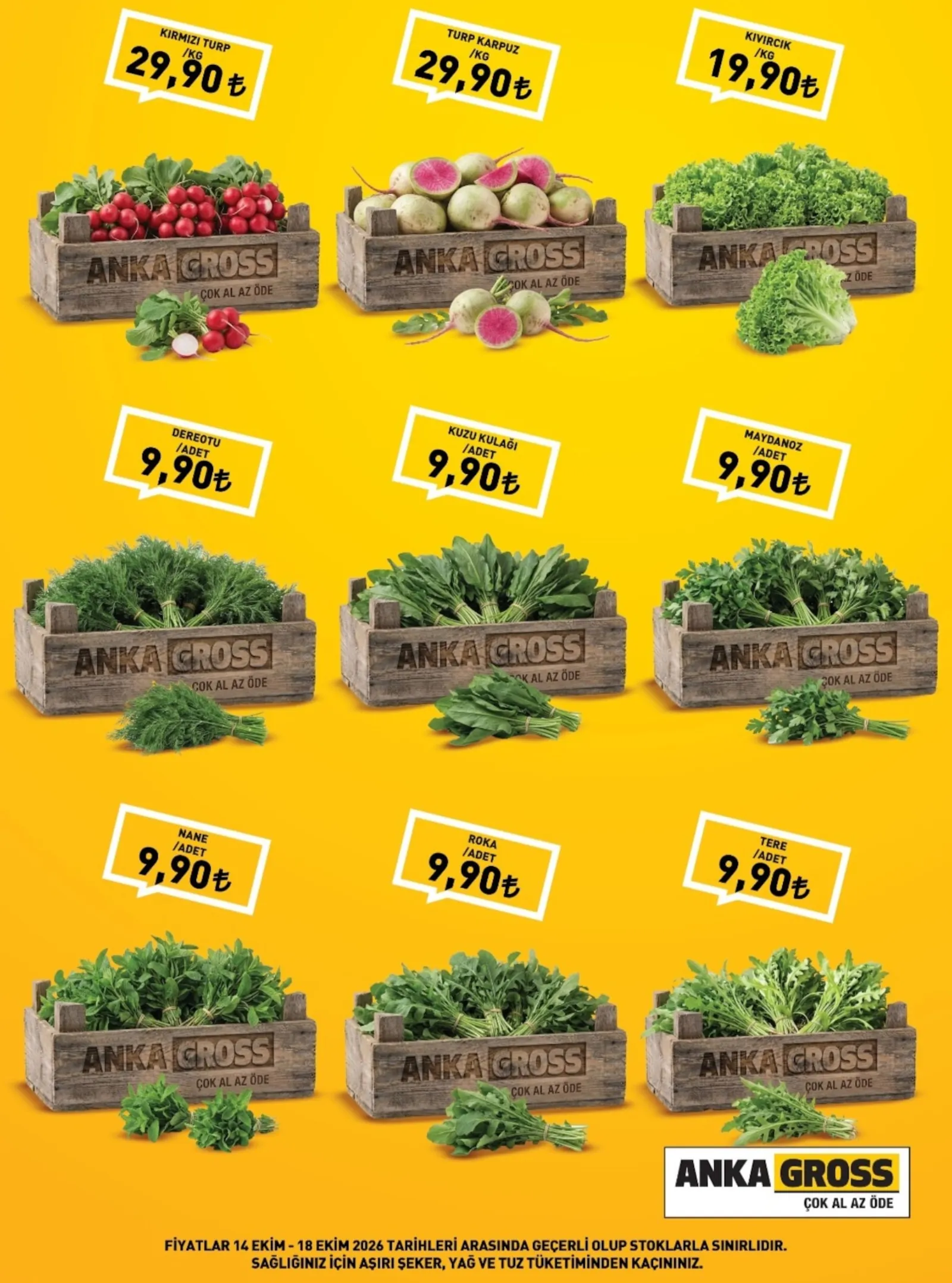 Anka Gross broşürü sayfa 2