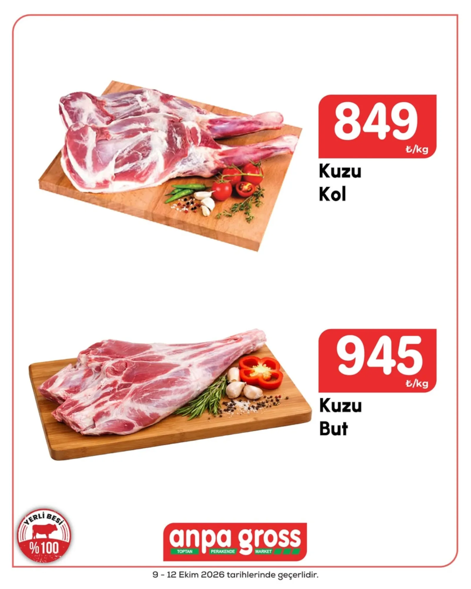Anpa Gross broşürü sayfa 2