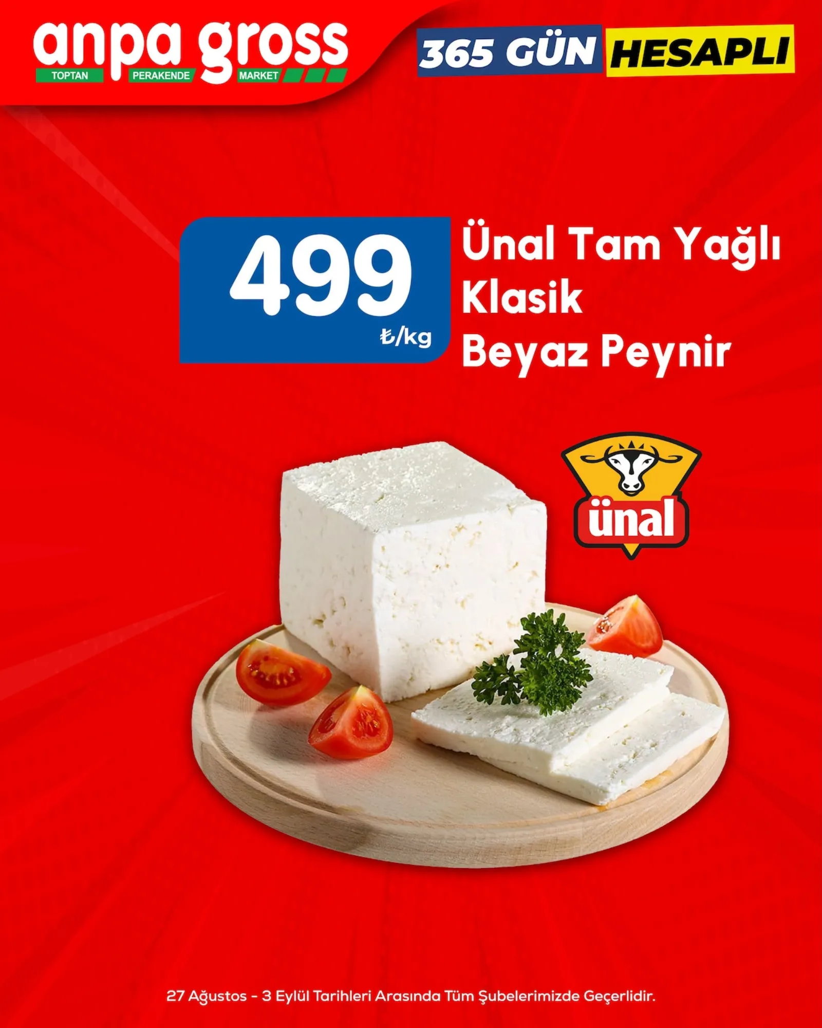 Anpa Gross broşürü sayfa 3
