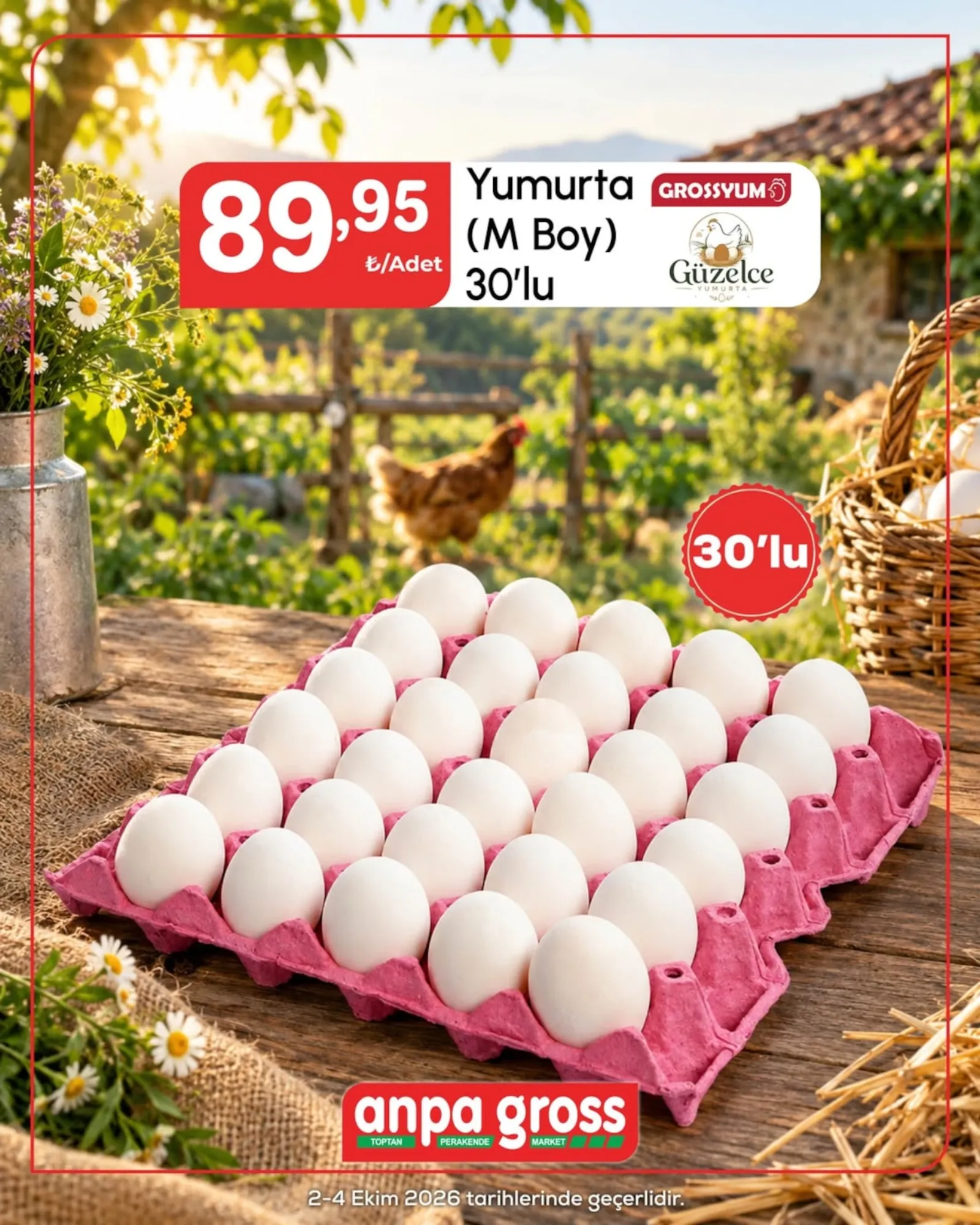 Anpa Gross broşürü sayfa 15