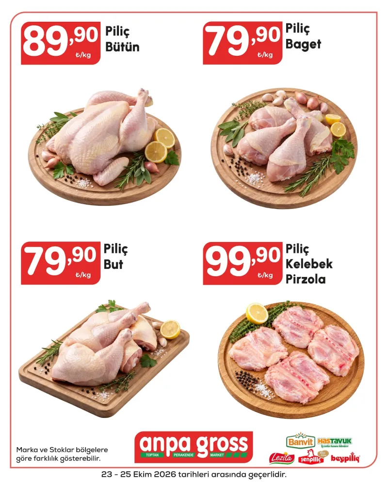 Anpa Gross broşürü sayfa 1