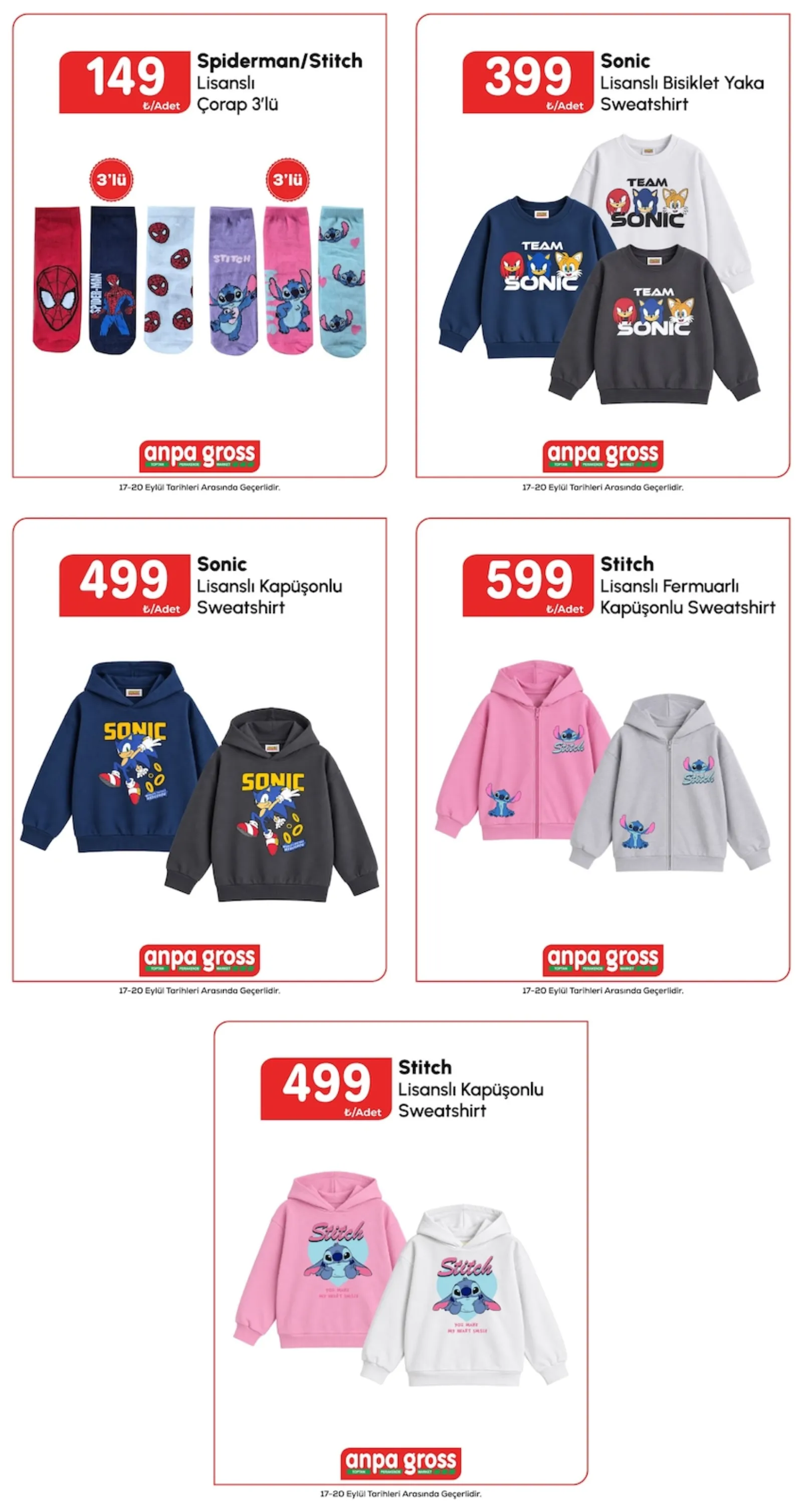 Anpa Gross broşürü sayfa 2