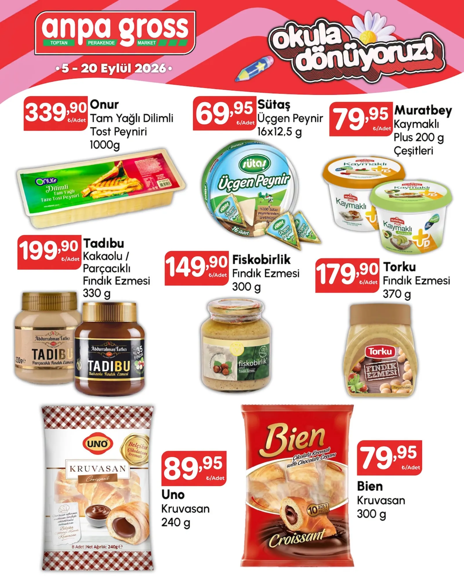 Anpa Gross broşürü sayfa 2