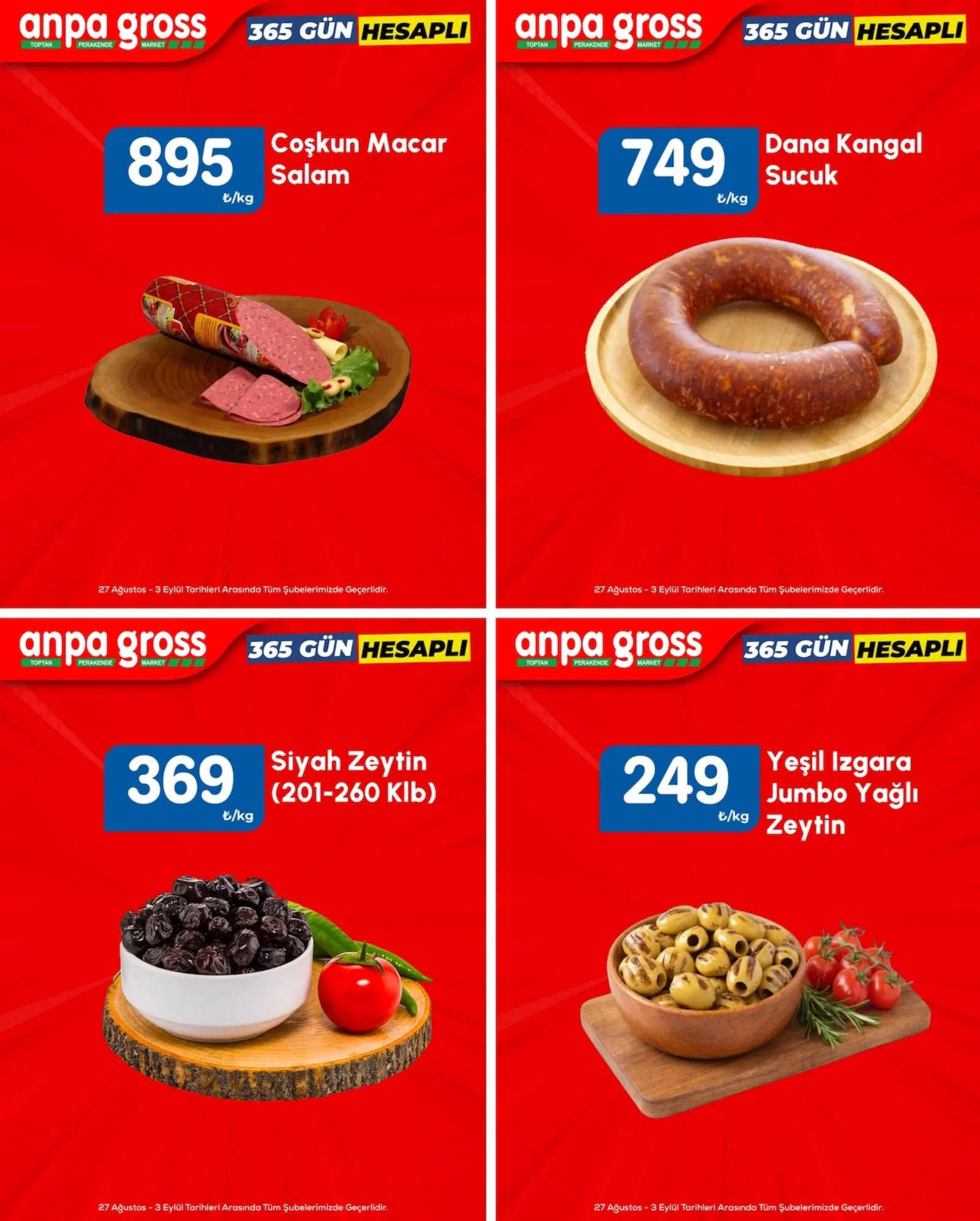 Anpa Gross broşürü sayfa 2