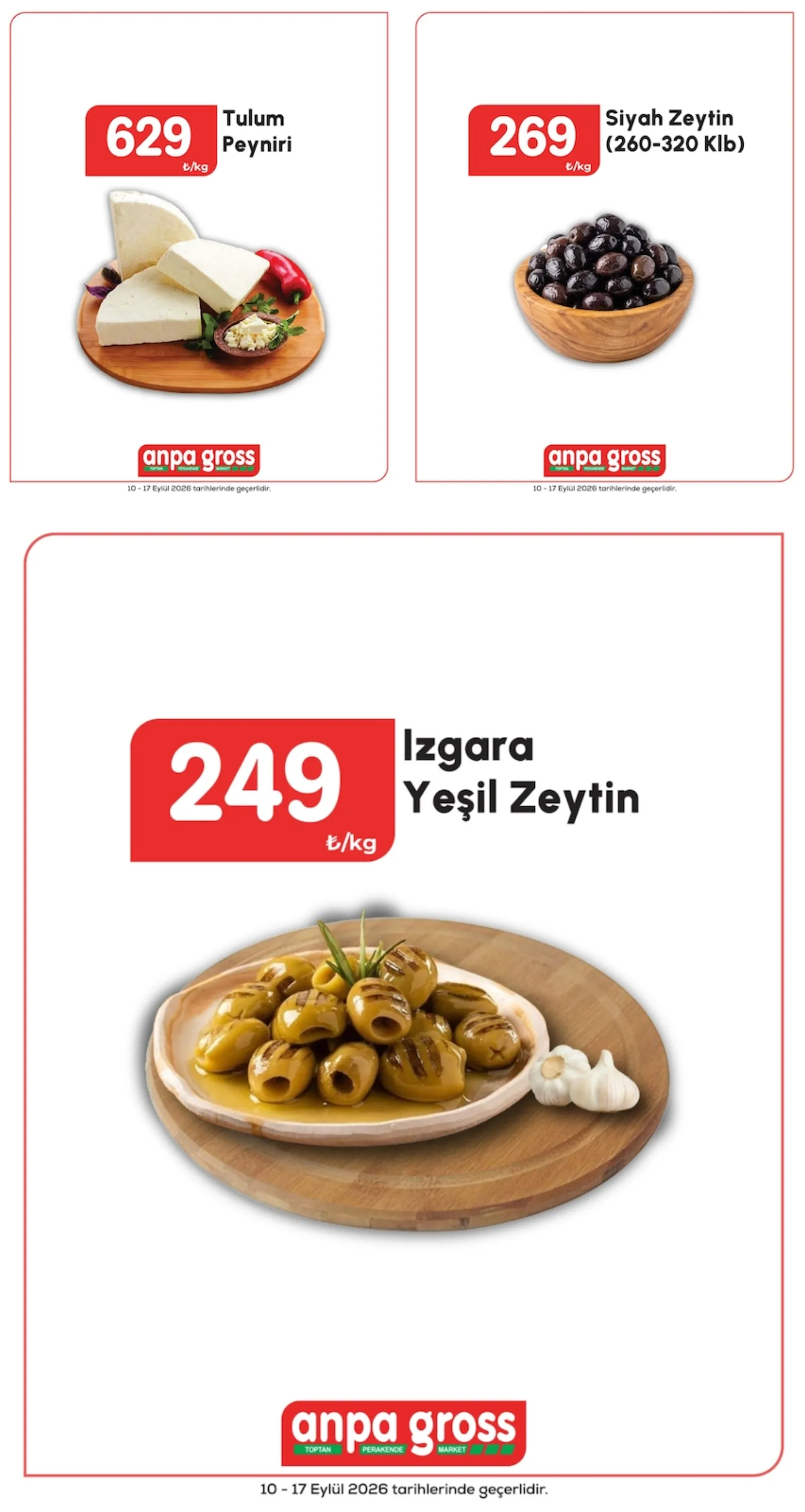 Anpa Gross broşürü sayfa 2