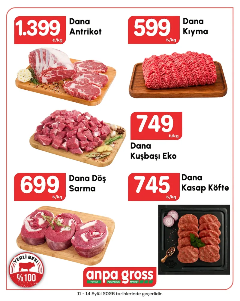 Anpa Gross broşürü sayfa 1