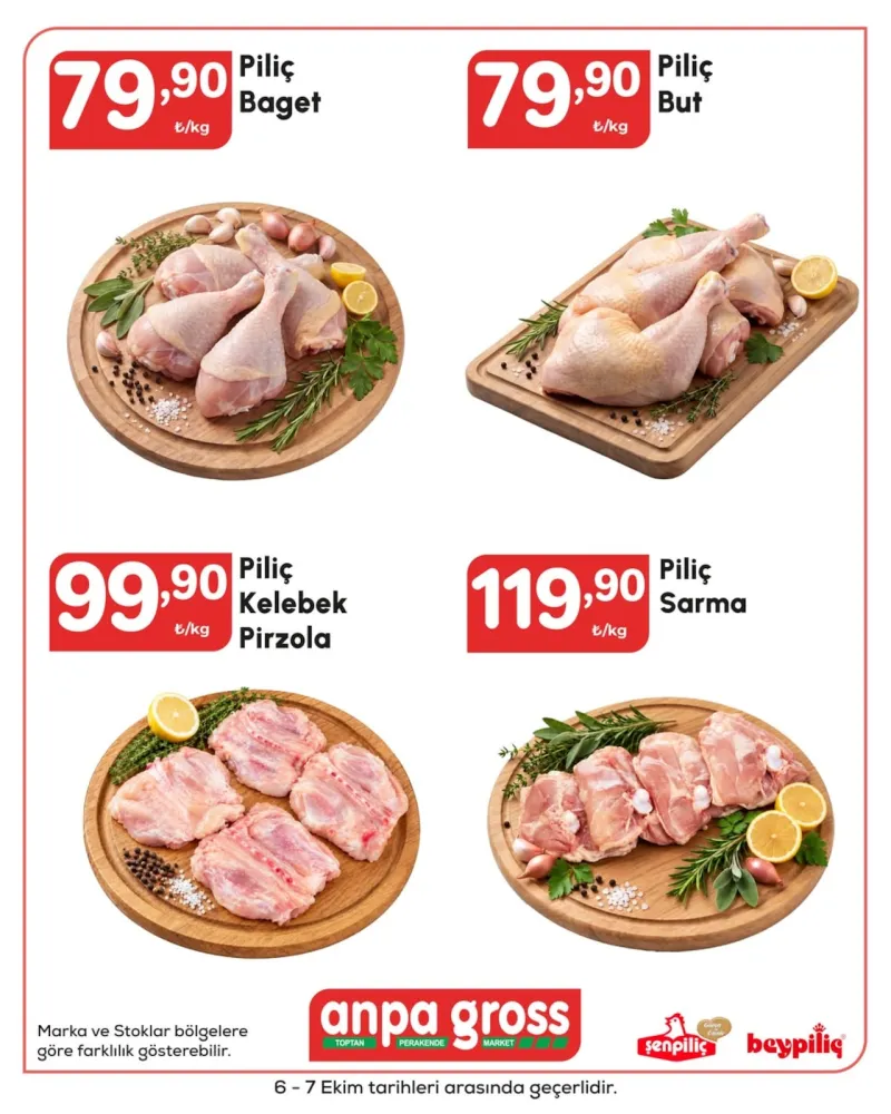 Anpa Gross broşürü sayfa 1
