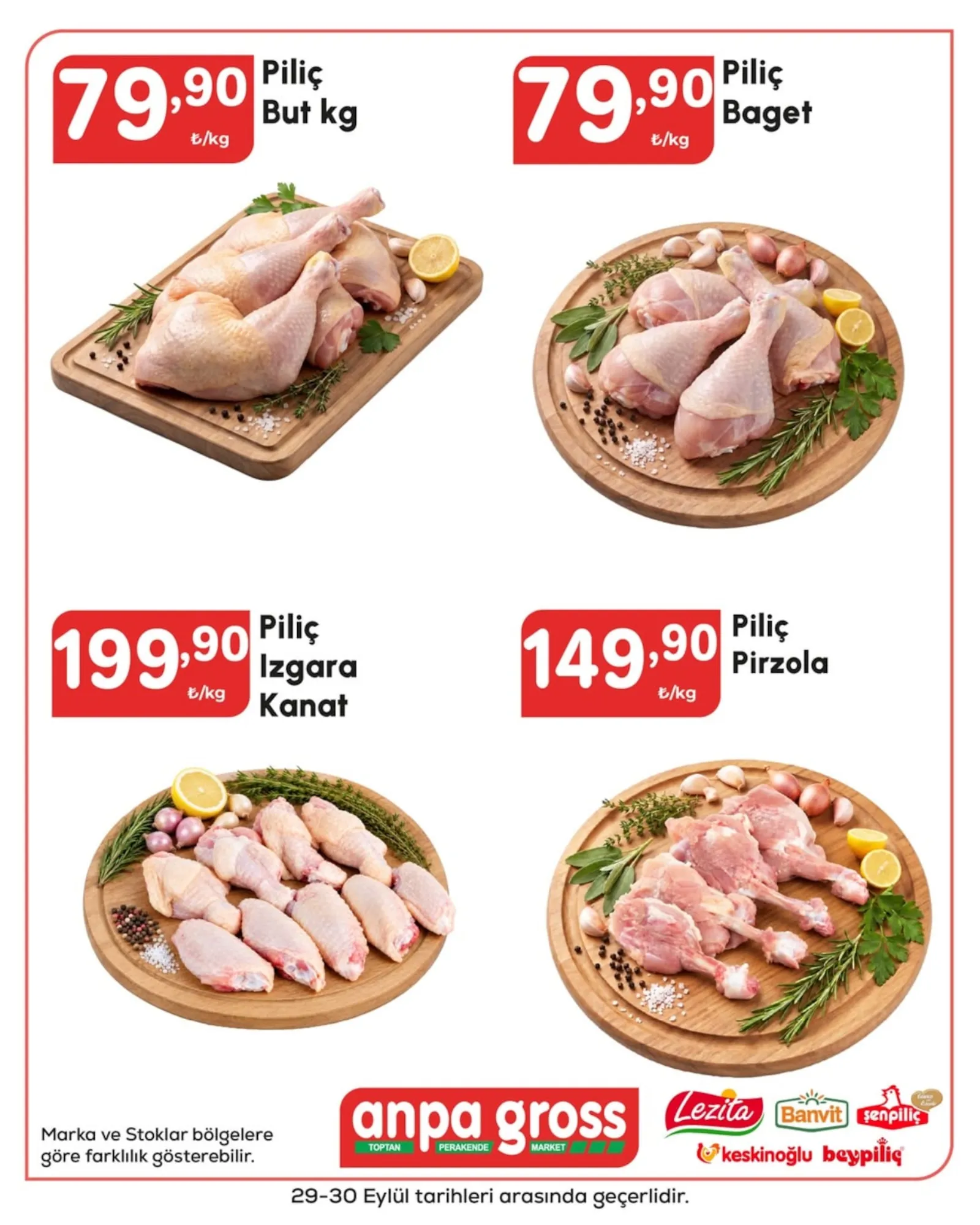 Anpa Gross broşürü sayfa 1