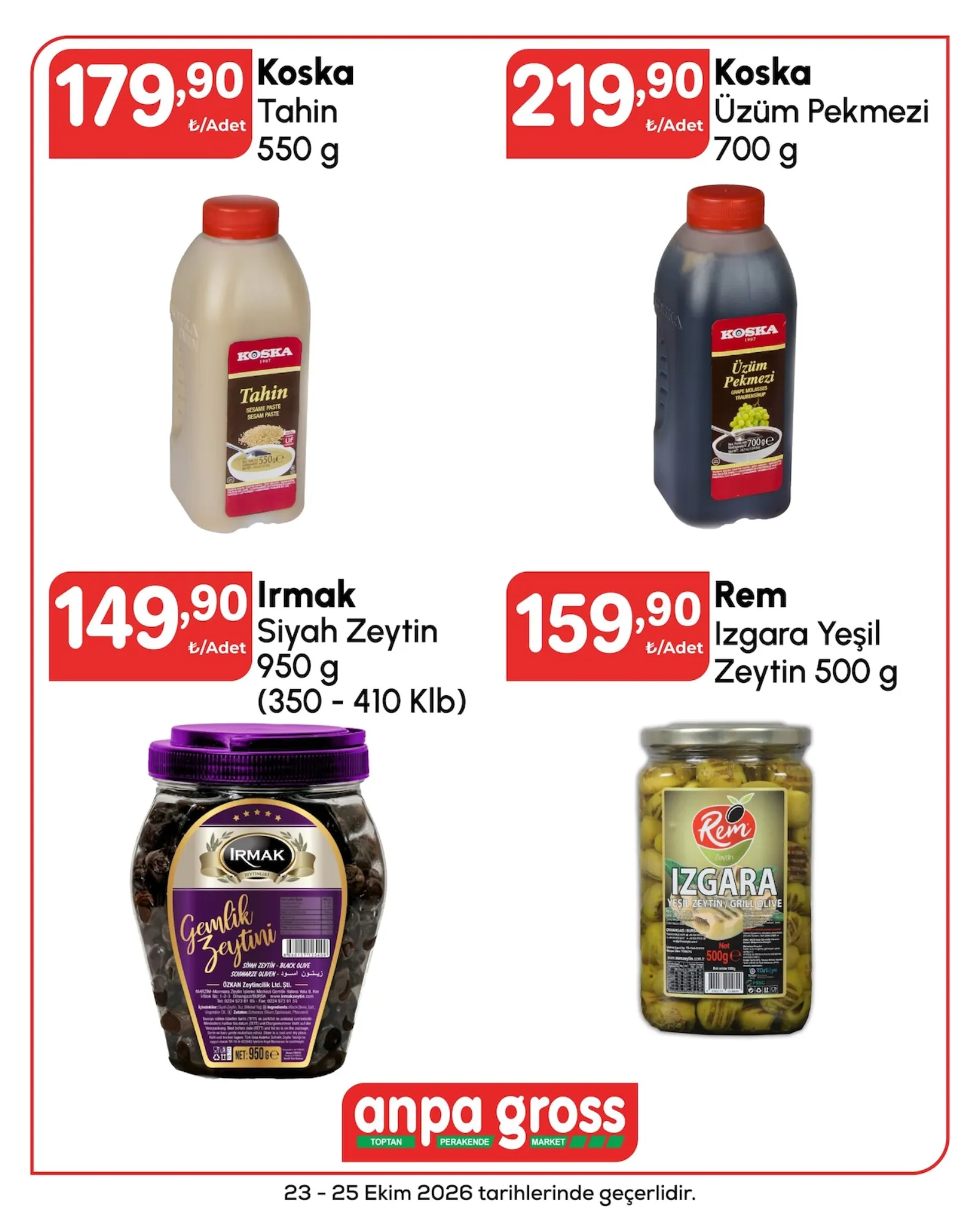 Anpa Gross broşürü sayfa 11