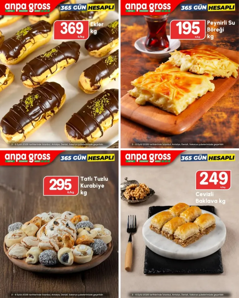 Anpa Gross broşürü