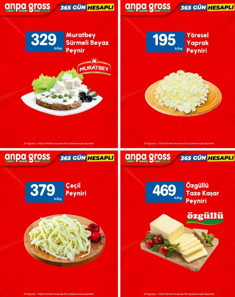 Anpa Gross broşürü