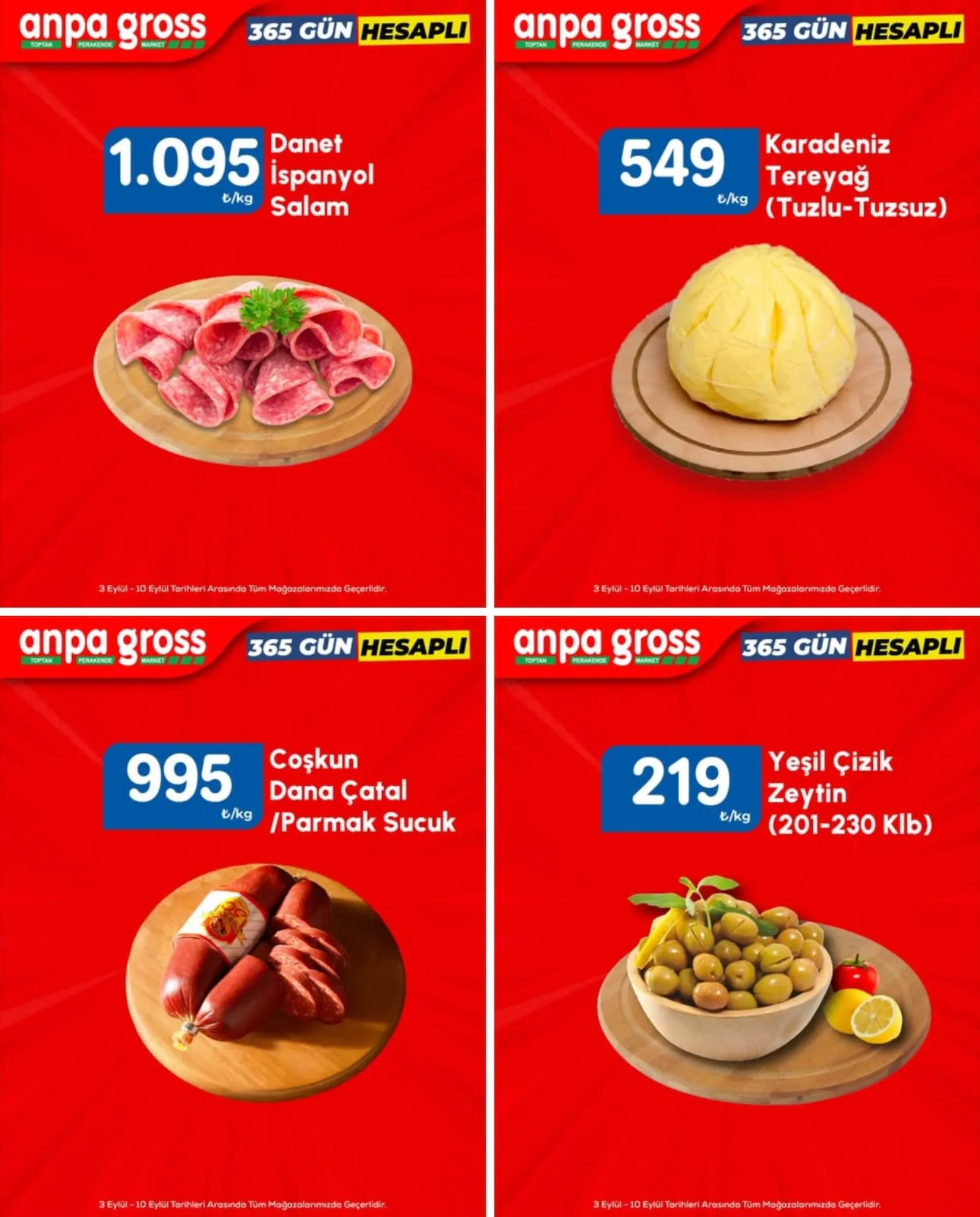 Anpa Gross broşürü sayfa 2