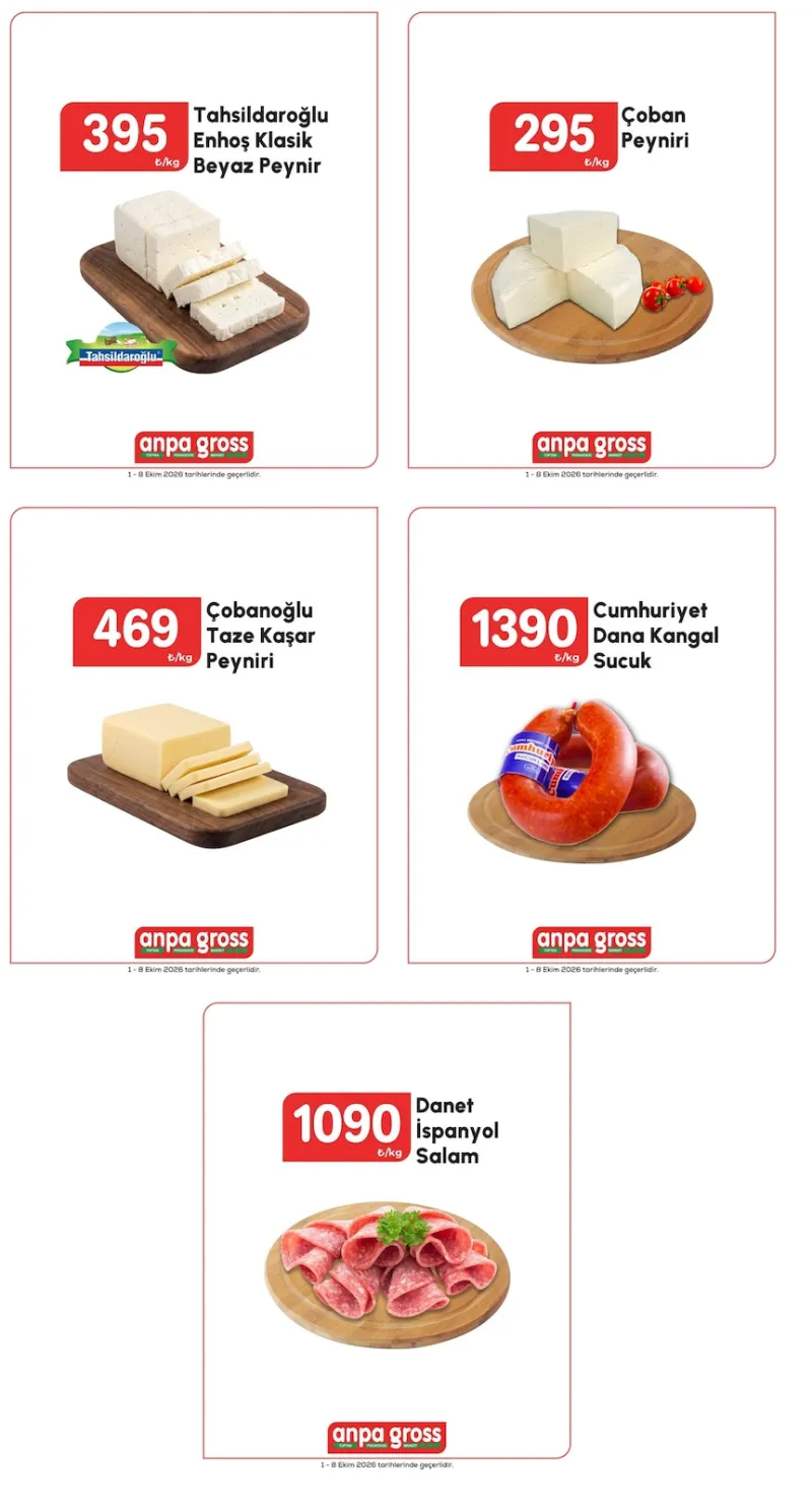 Anpa Gross broşürü sayfa 1