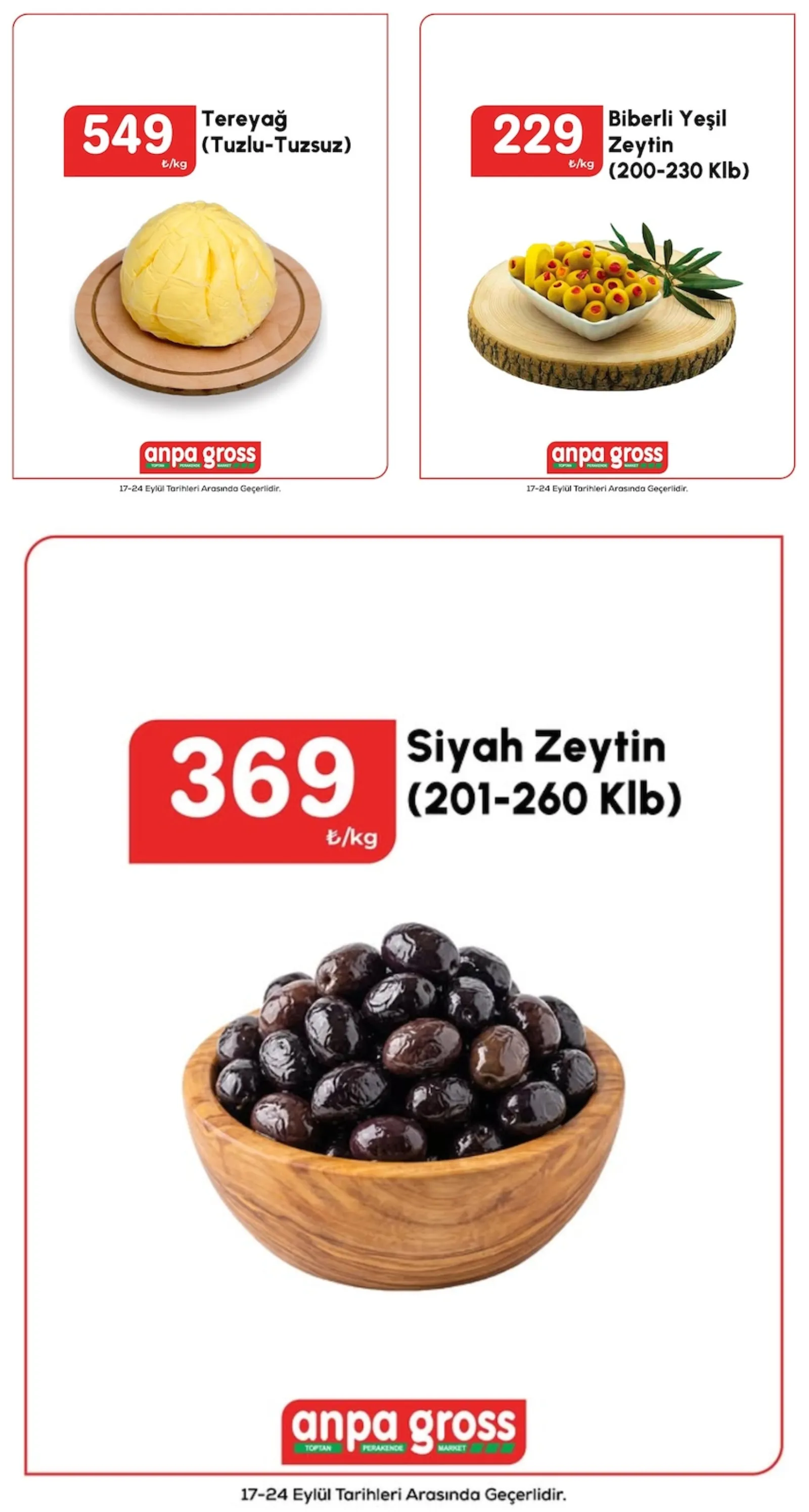 Anpa Gross broşürü sayfa 2