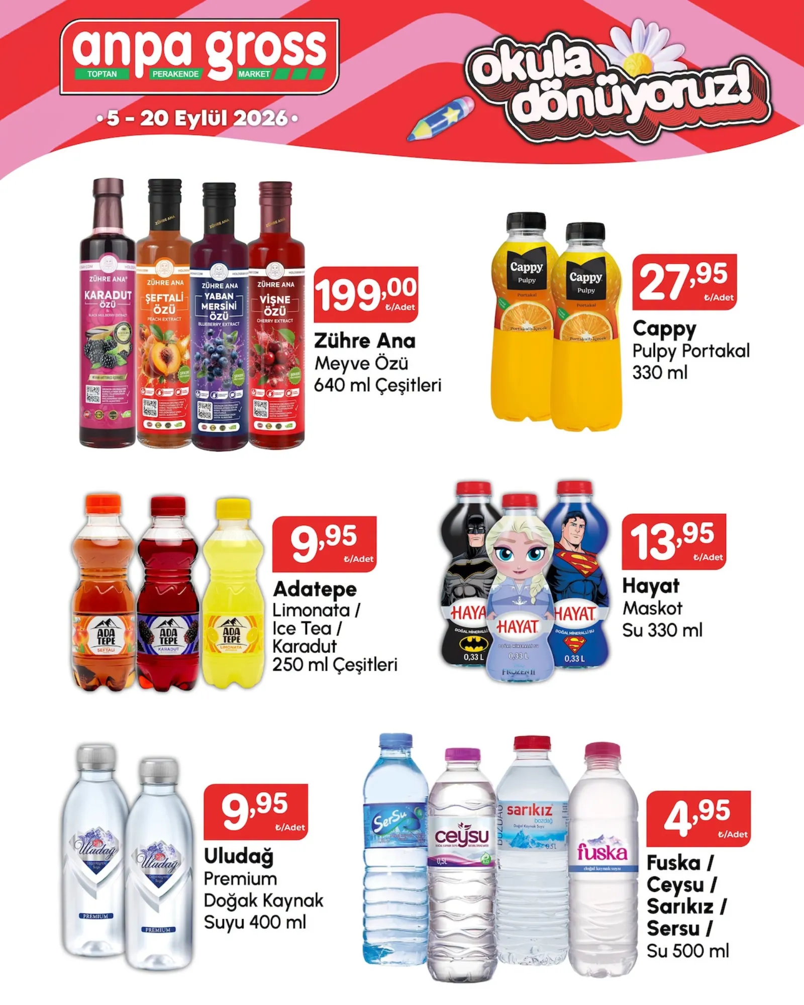 Anpa Gross broşürü sayfa 12