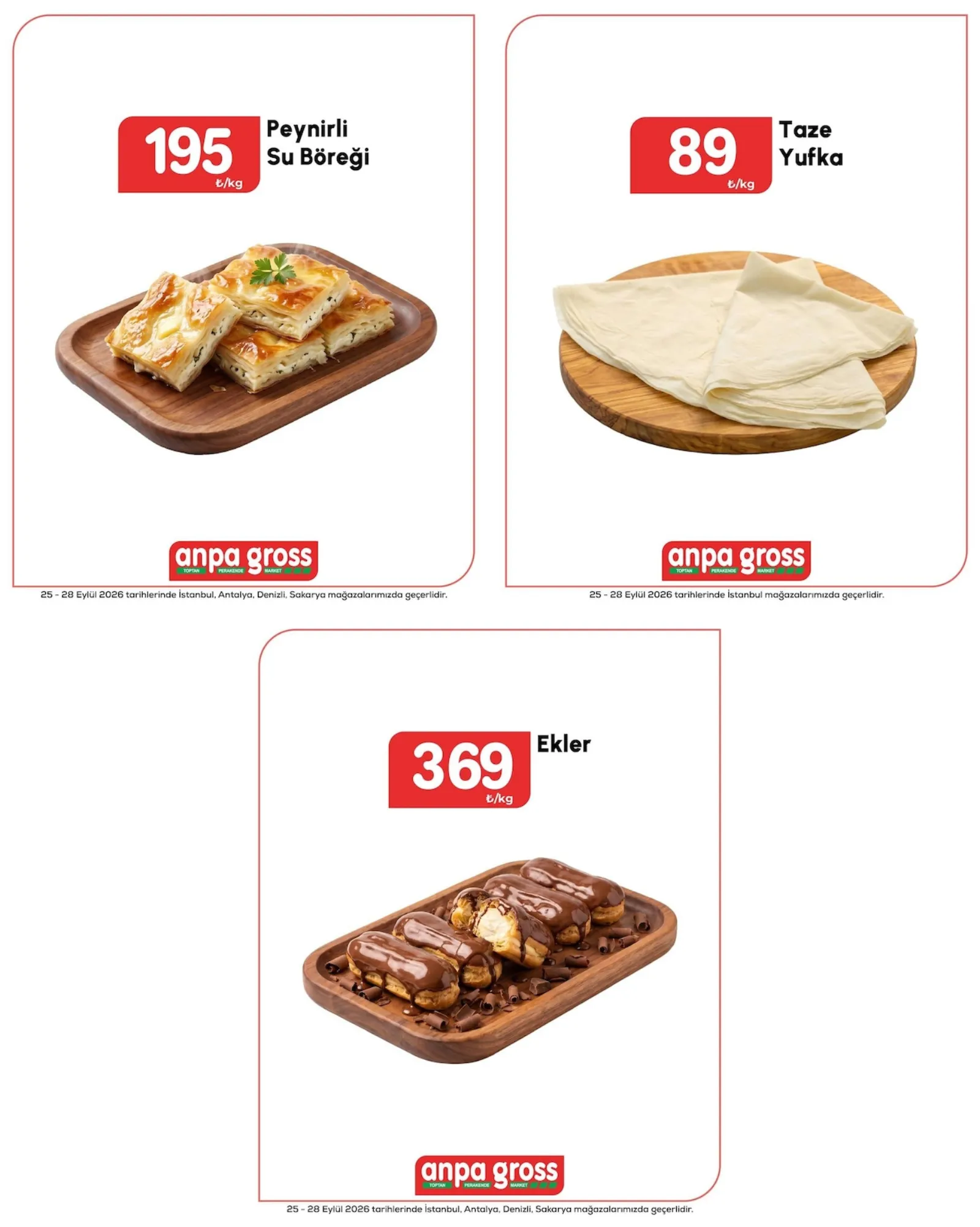 Anpa Gross broşürü sayfa 3