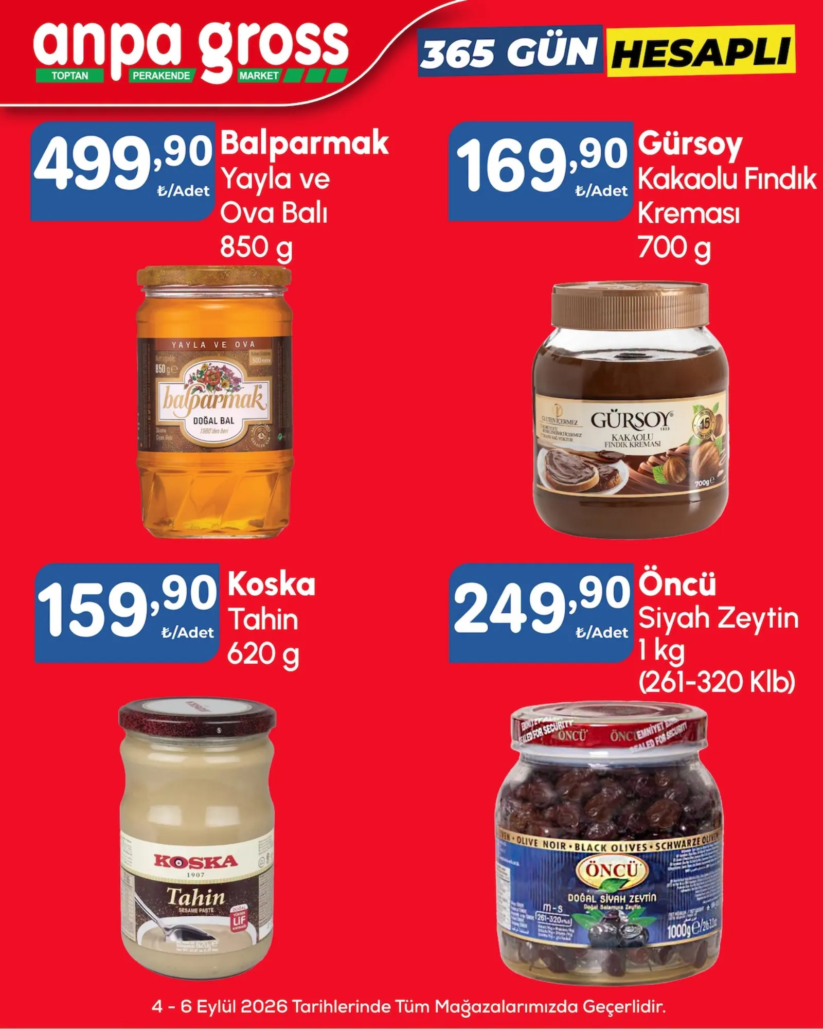 Anpa Gross broşürü sayfa 12