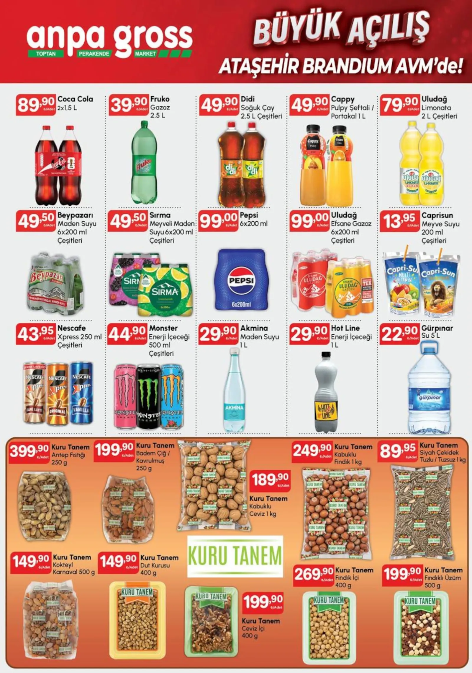 Anpa Gross broşürü sayfa 9