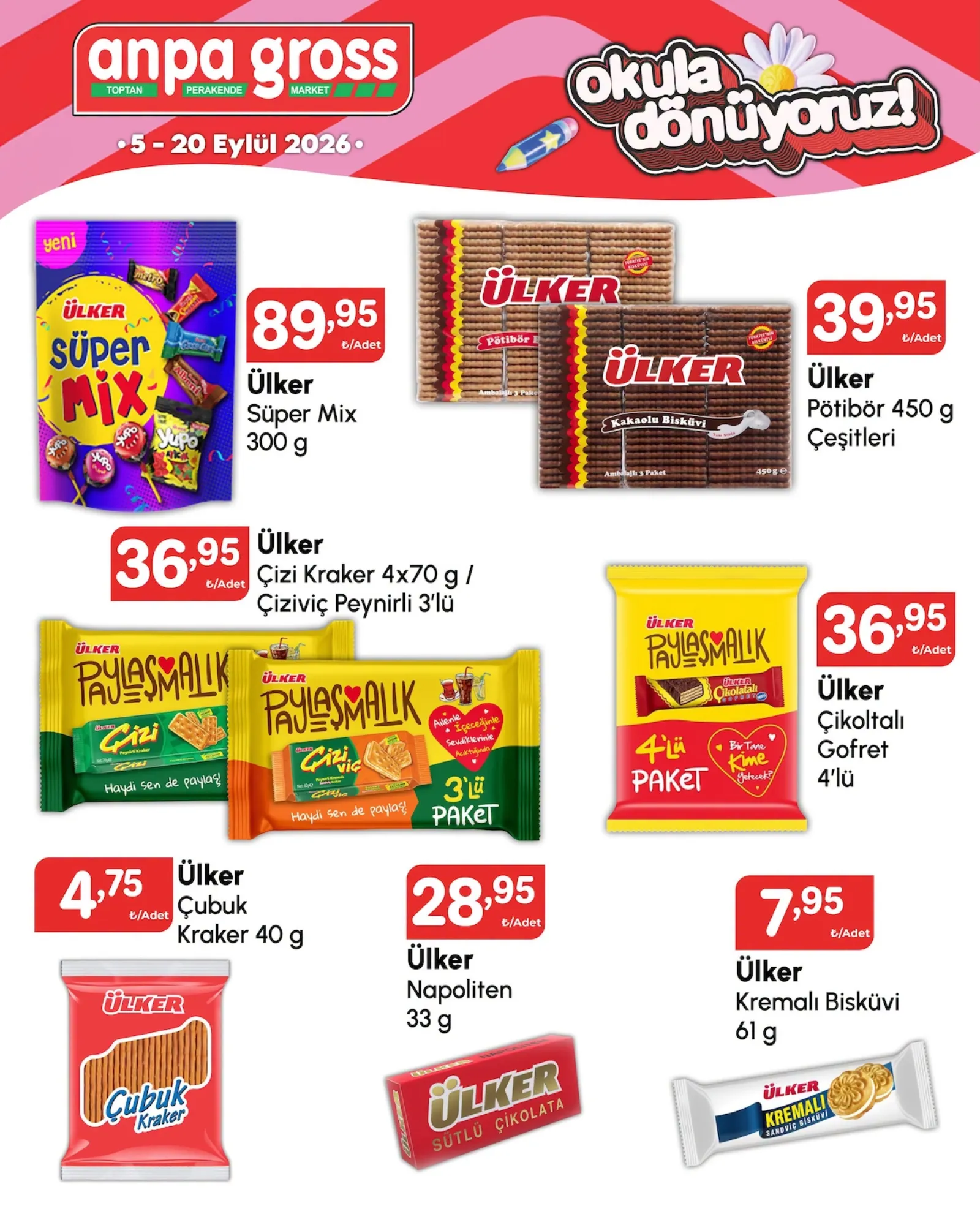 Anpa Gross broşürü sayfa 4
