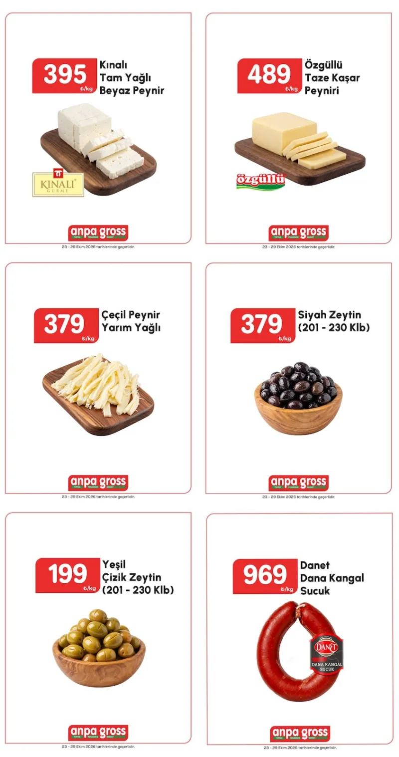 Anpa Gross broşürü sayfa 1