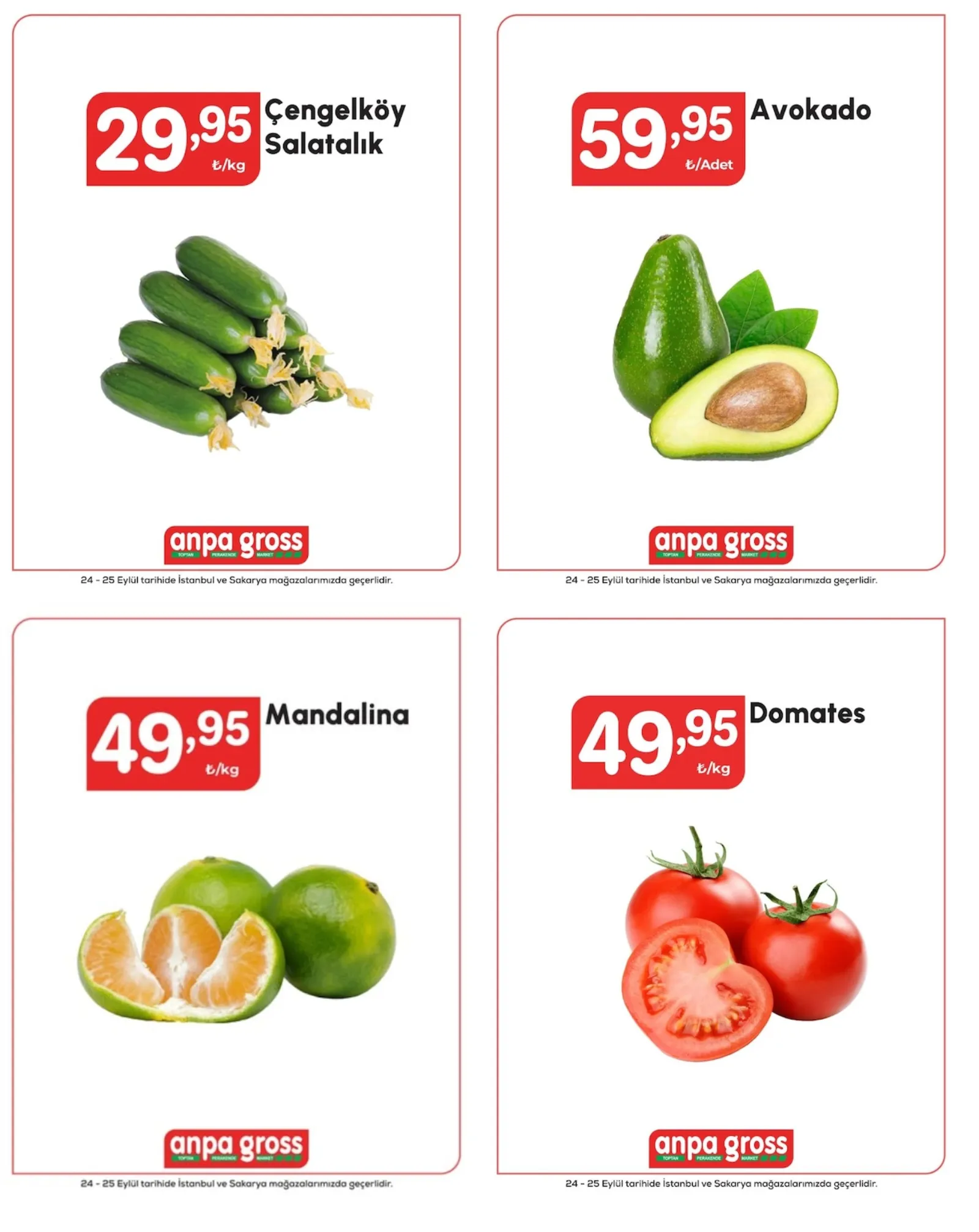 Anpa Gross broşürü sayfa 1