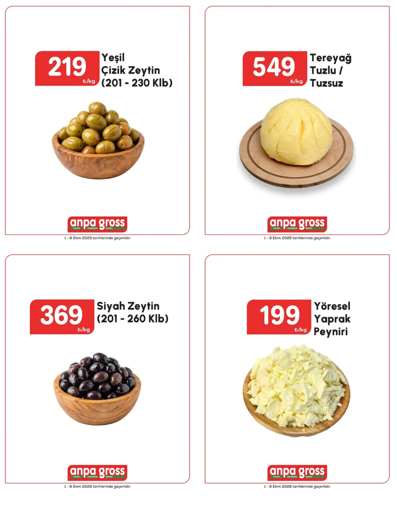 Anpa Gross broşürü sayfa 2