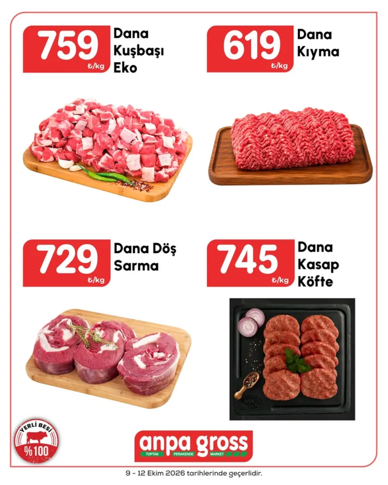 Anpa Gross broşürü sayfa 1