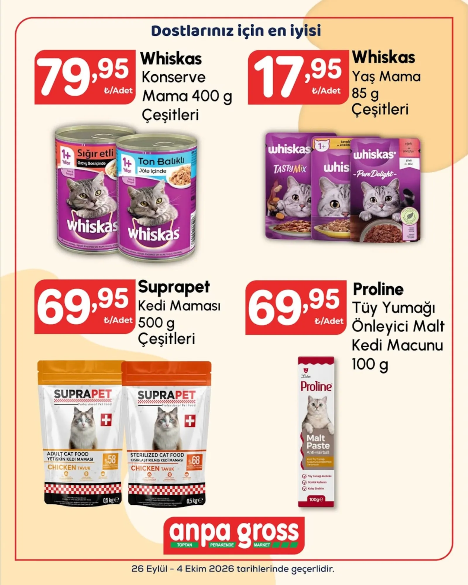 Anpa Gross broşürü sayfa 2