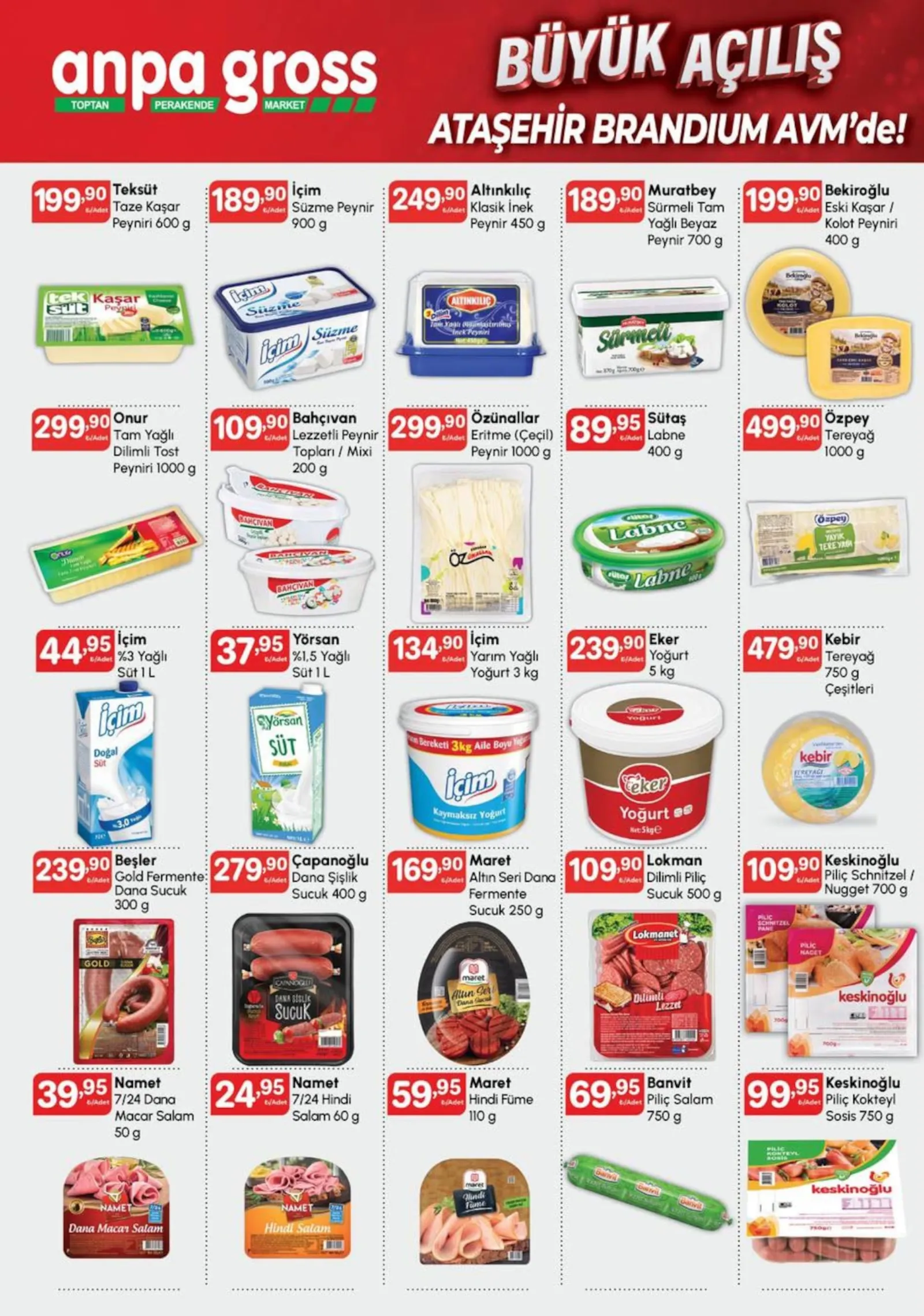 Anpa Gross broşürü sayfa 3