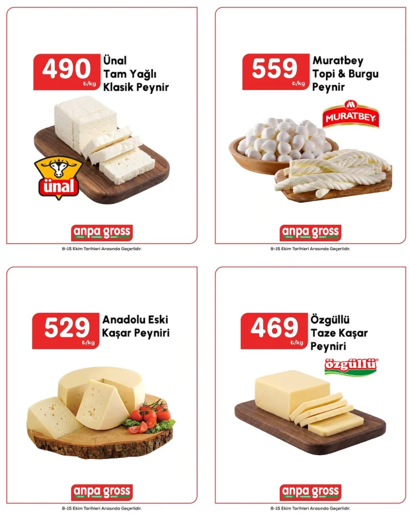 Anpa Gross broşürü sayfa 1