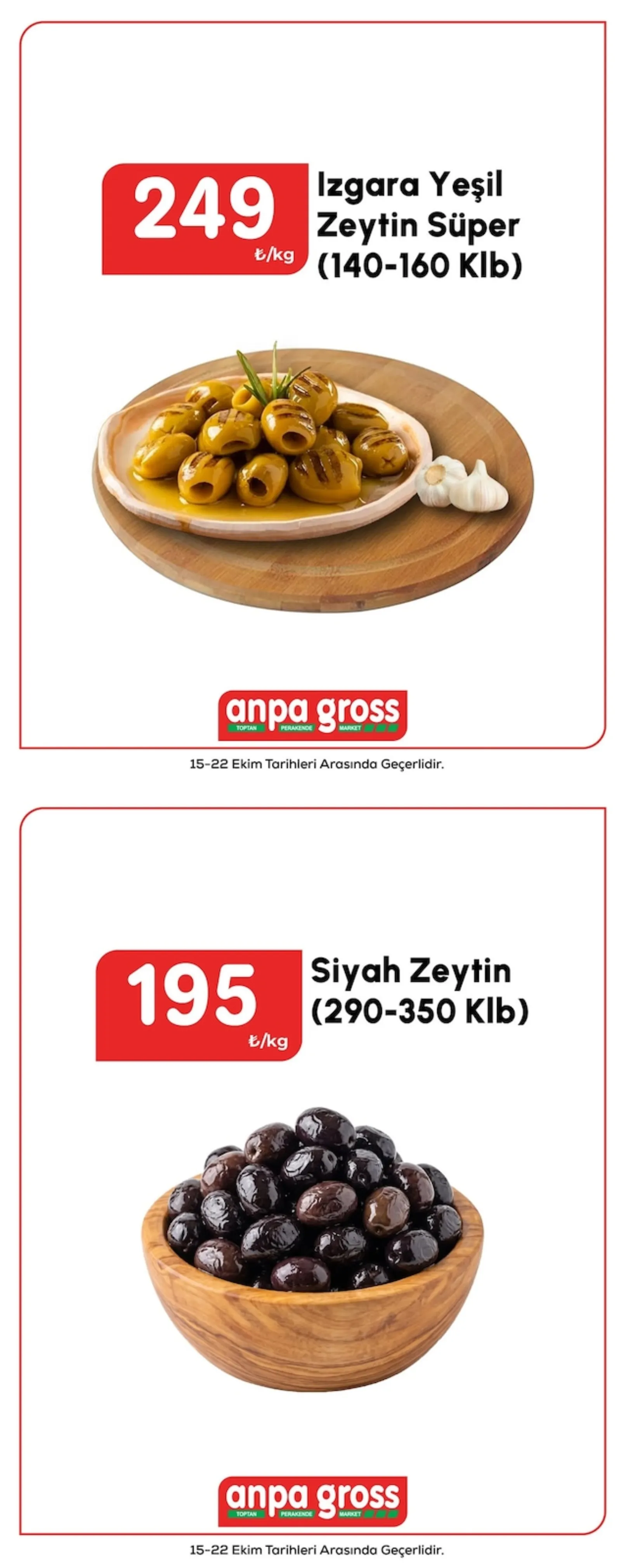 Anpa Gross broşürü sayfa 2