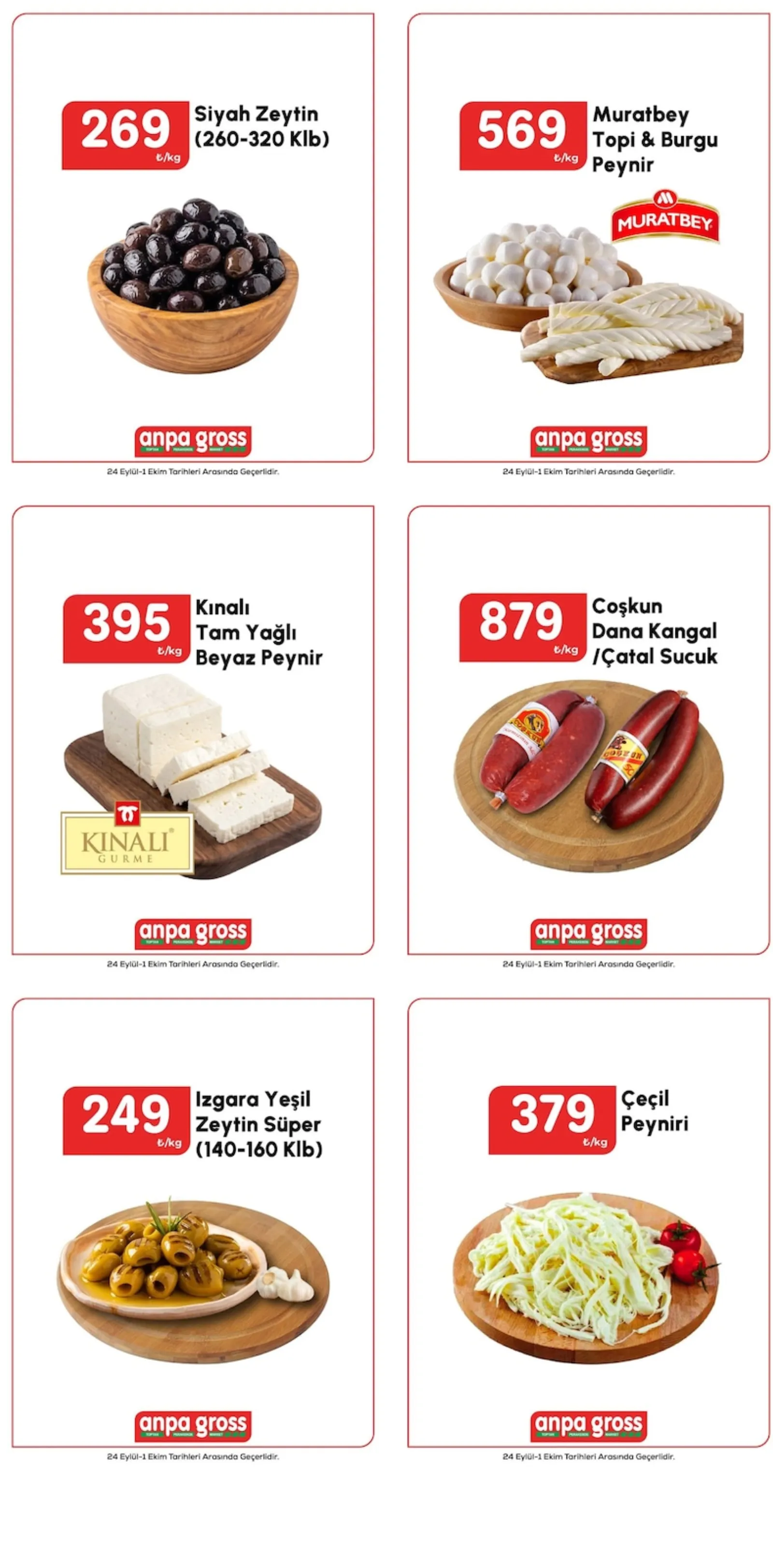 Anpa Gross broşürü sayfa 1