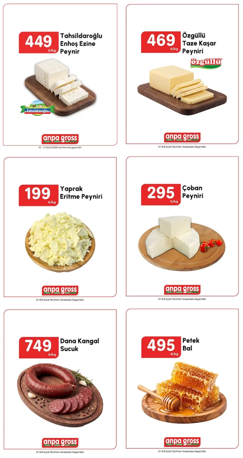 Anpa Gross broşürü sayfa 1
