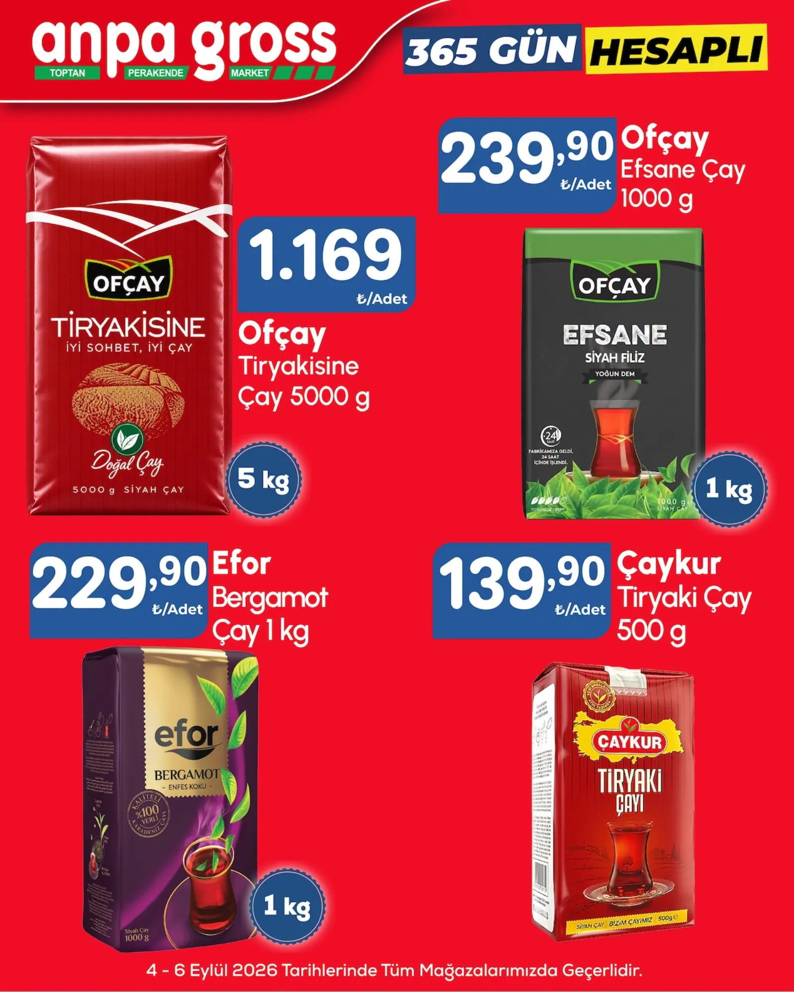Anpa Gross broşürü sayfa 14