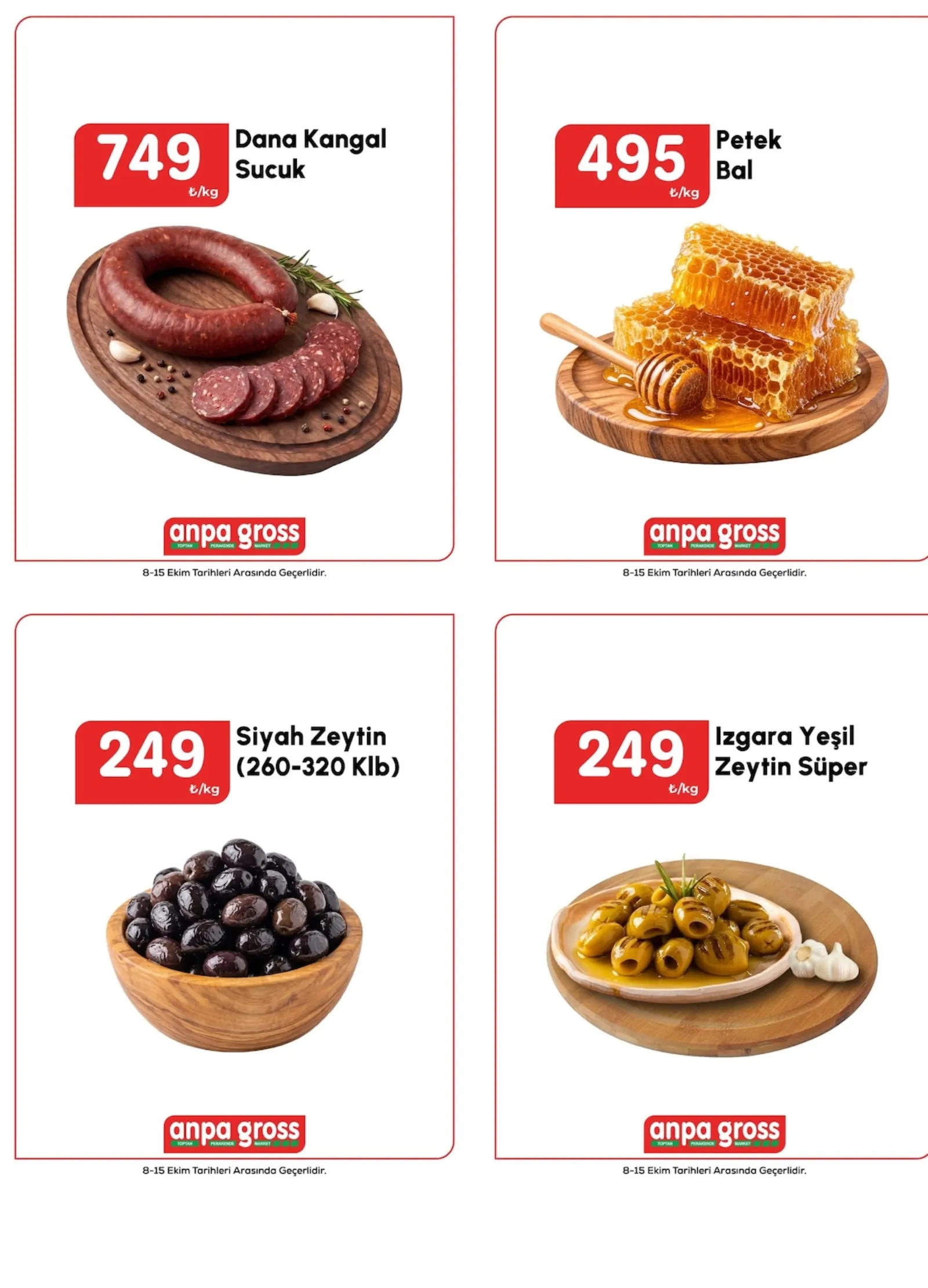 Anpa Gross broşürü sayfa 2