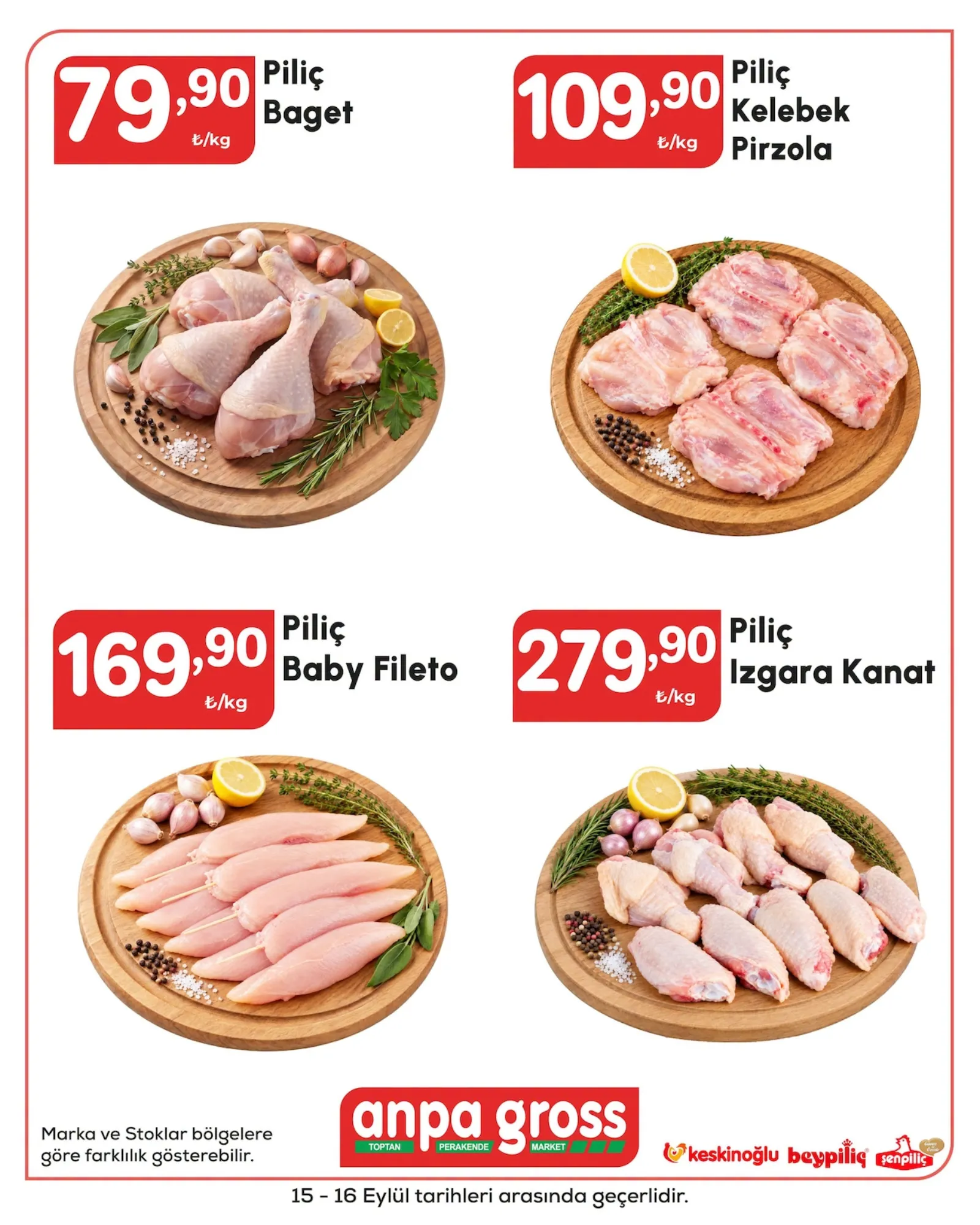 Anpa Gross broşürü sayfa 1