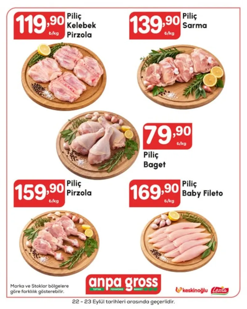 Anpa Gross broşürü sayfa 1