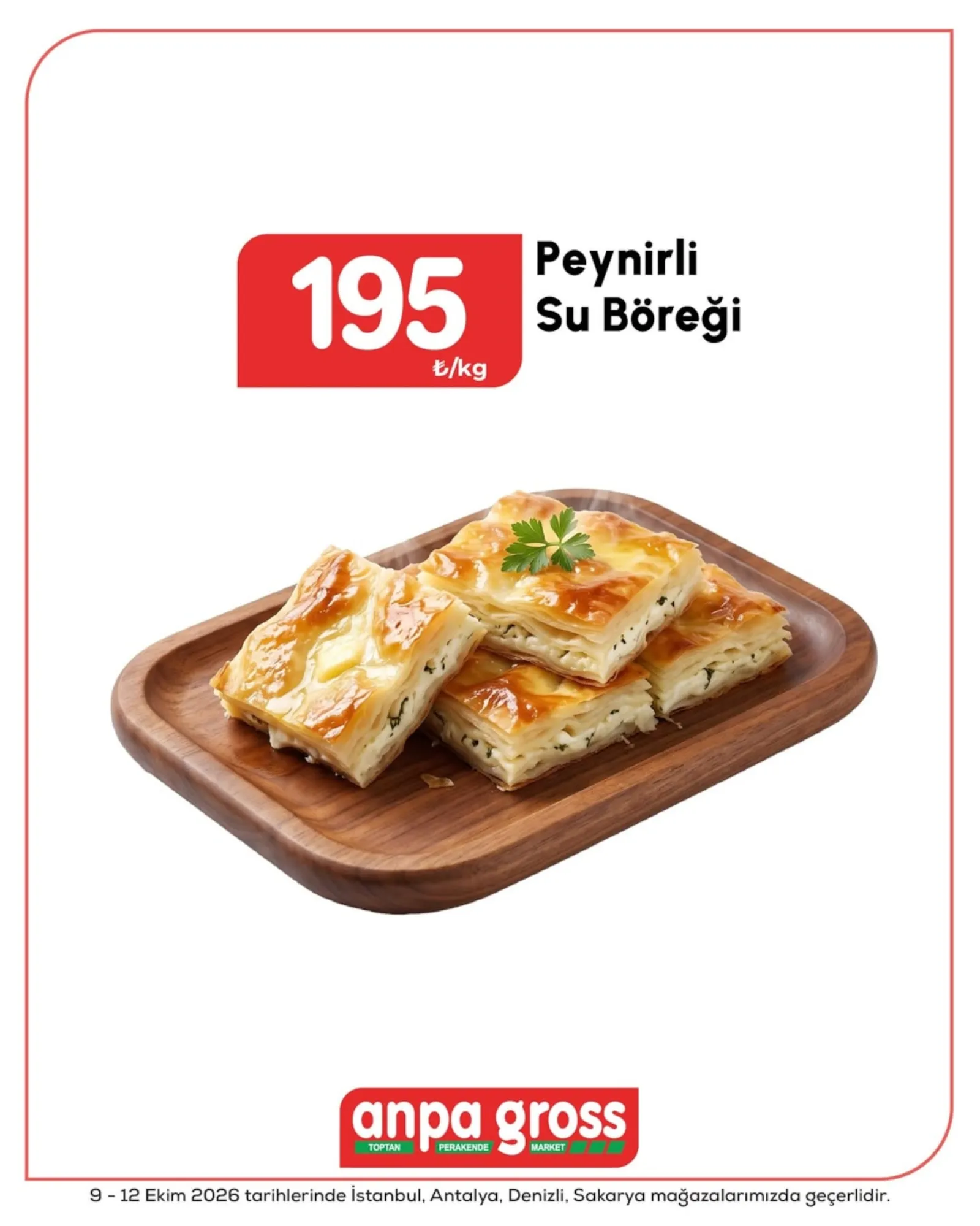 Anpa Gross broşürü sayfa 3