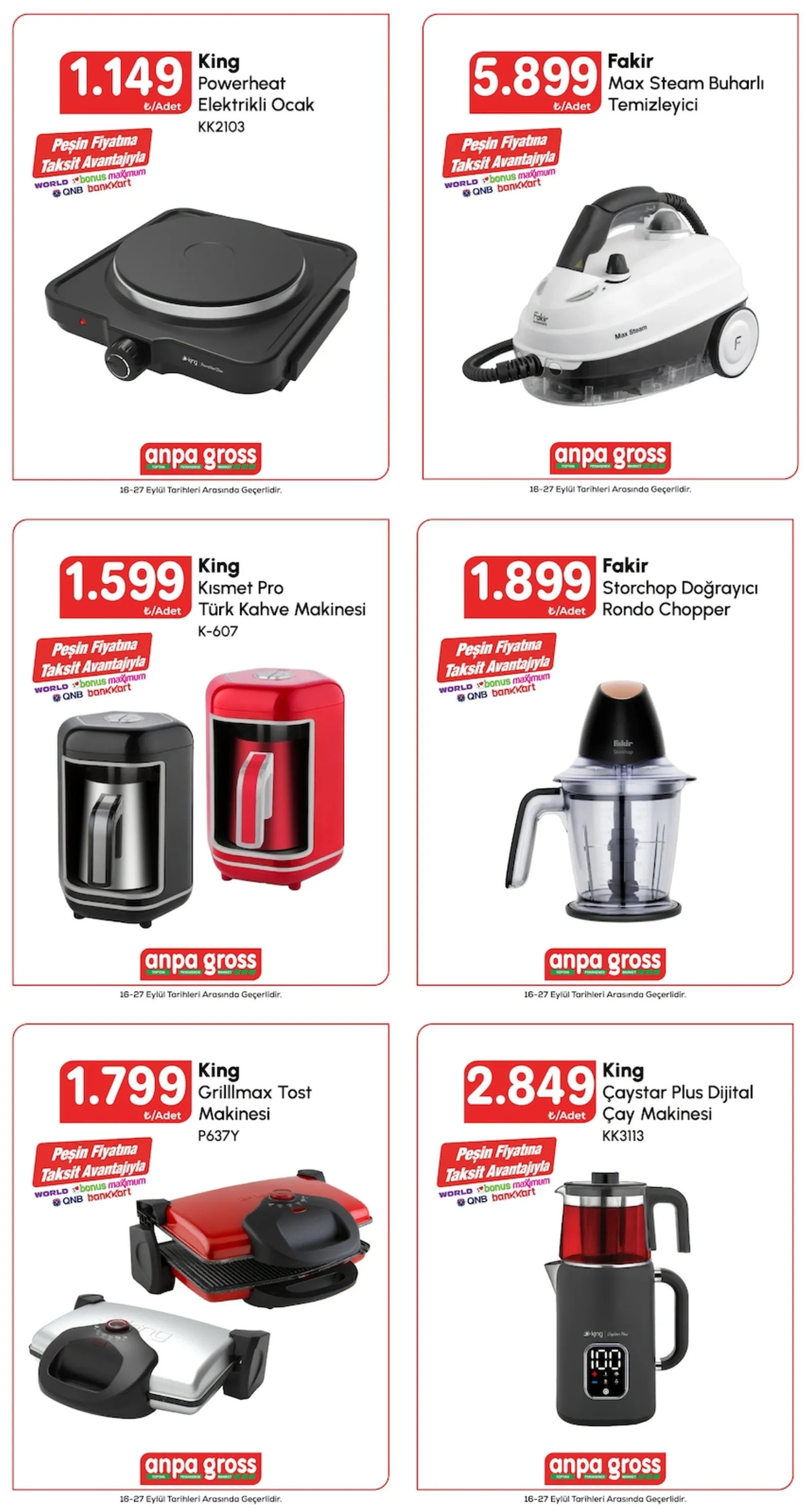 Anpa Gross broşürü sayfa 1