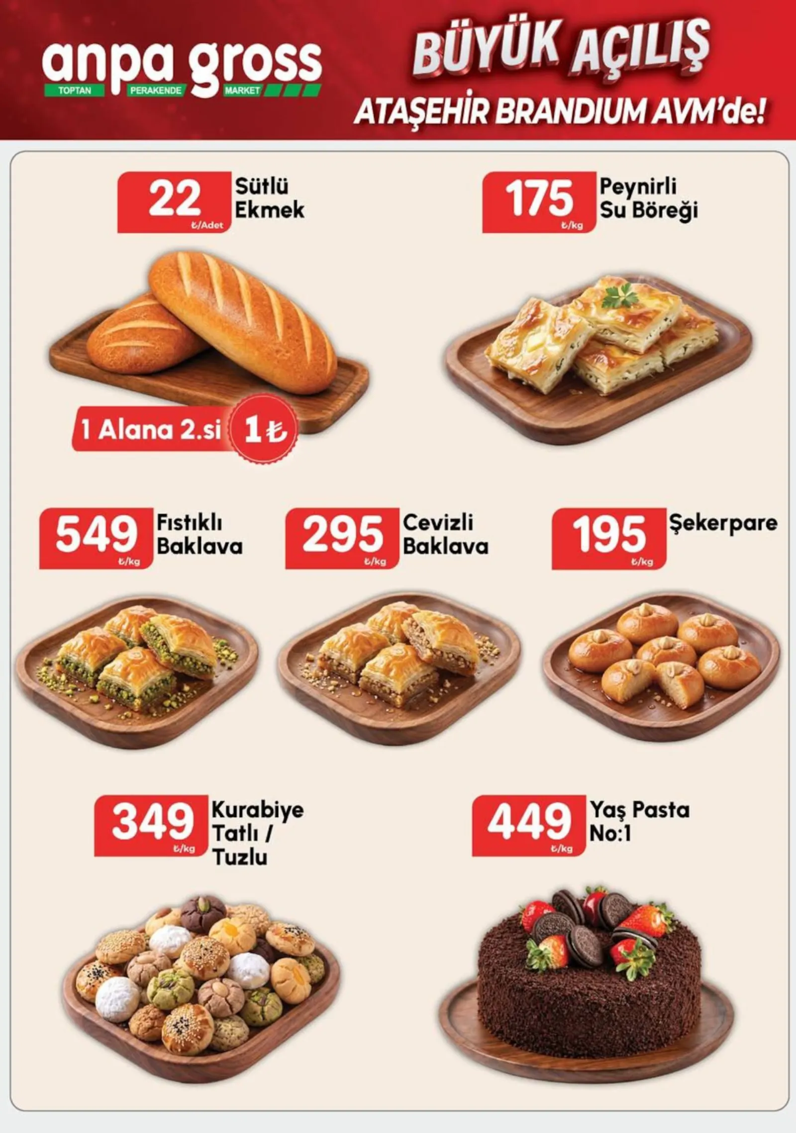 Anpa Gross broşürü sayfa 10