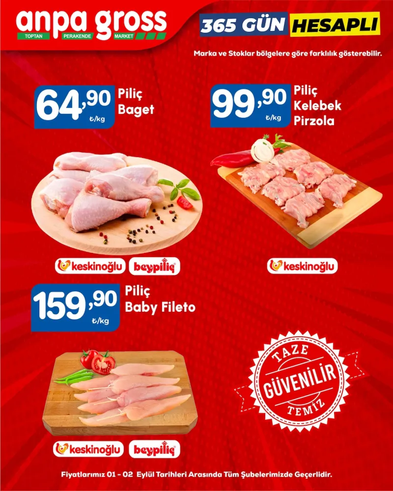 Anpa Gross broşürü