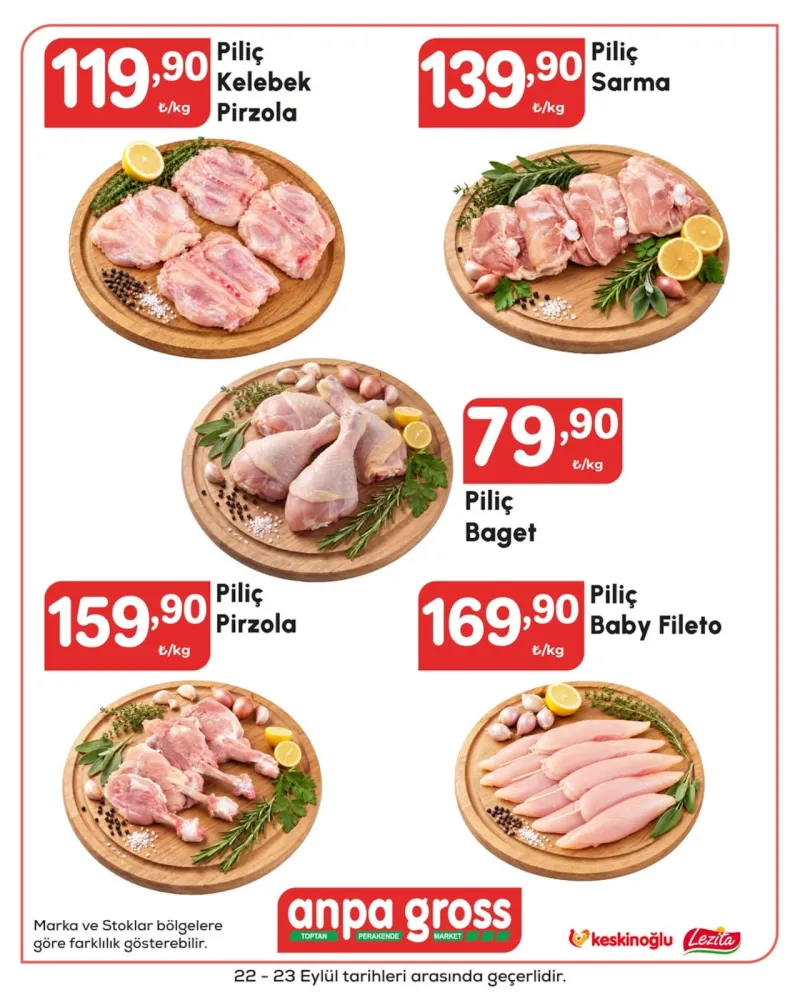 Anpa Gross broşürü sayfa 1