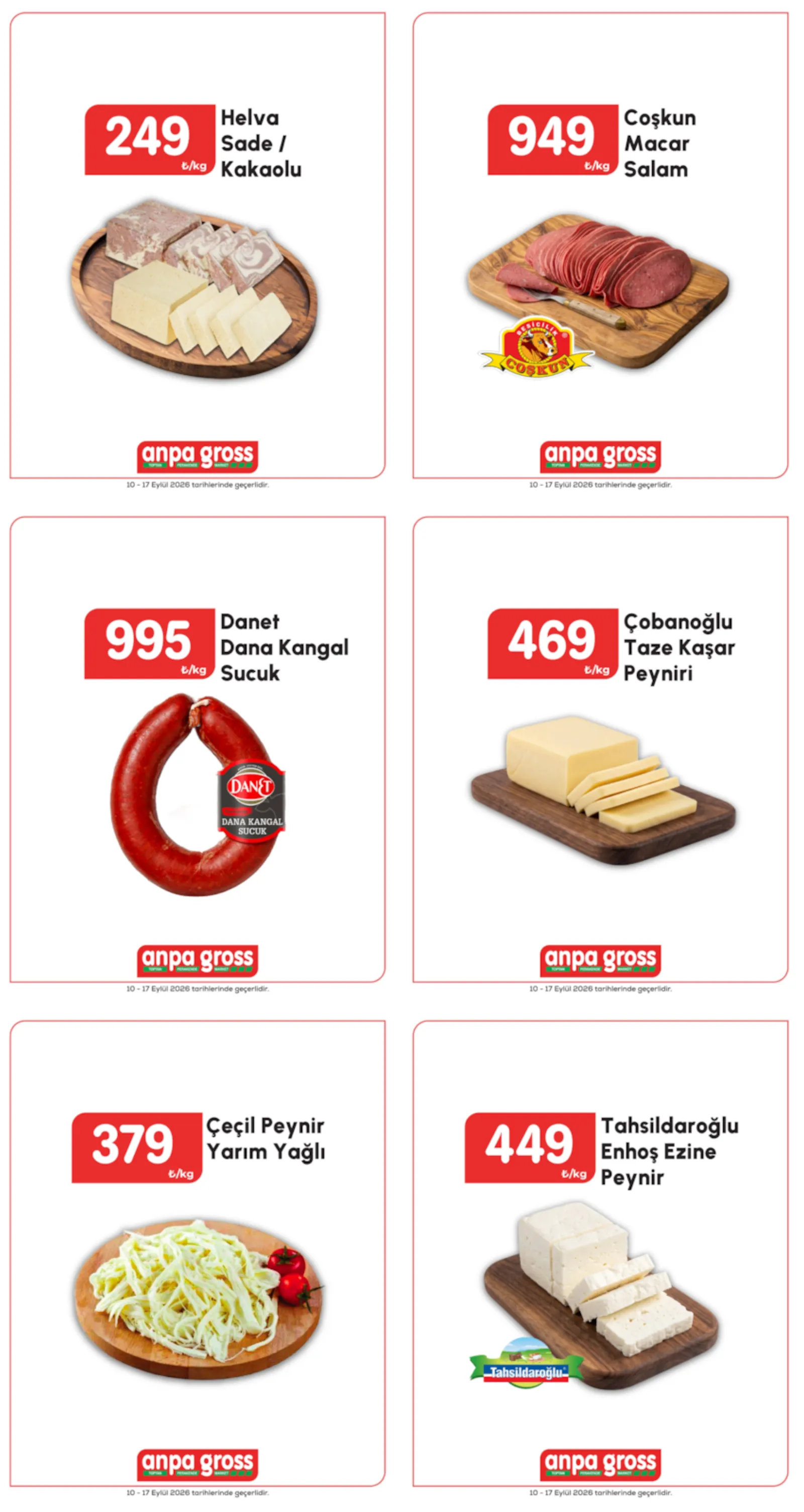 Anpa Gross broşürü sayfa 1