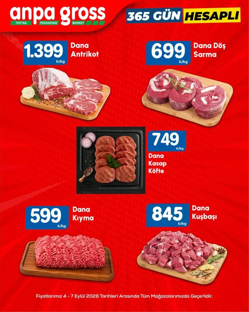 Anpa Gross broşürü